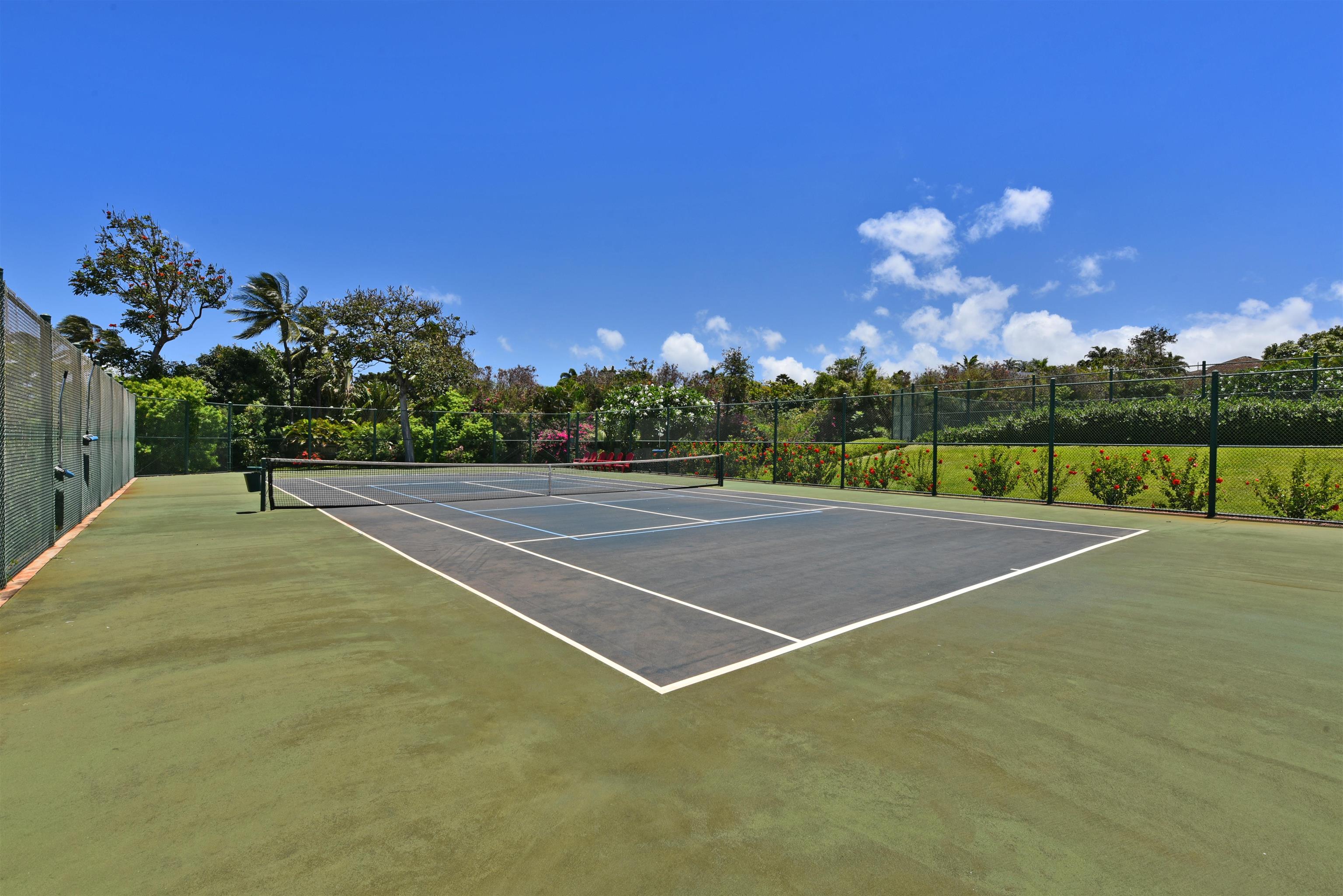 Masters condo # 703, Lahaina, Hawaii - photo 46 of 48