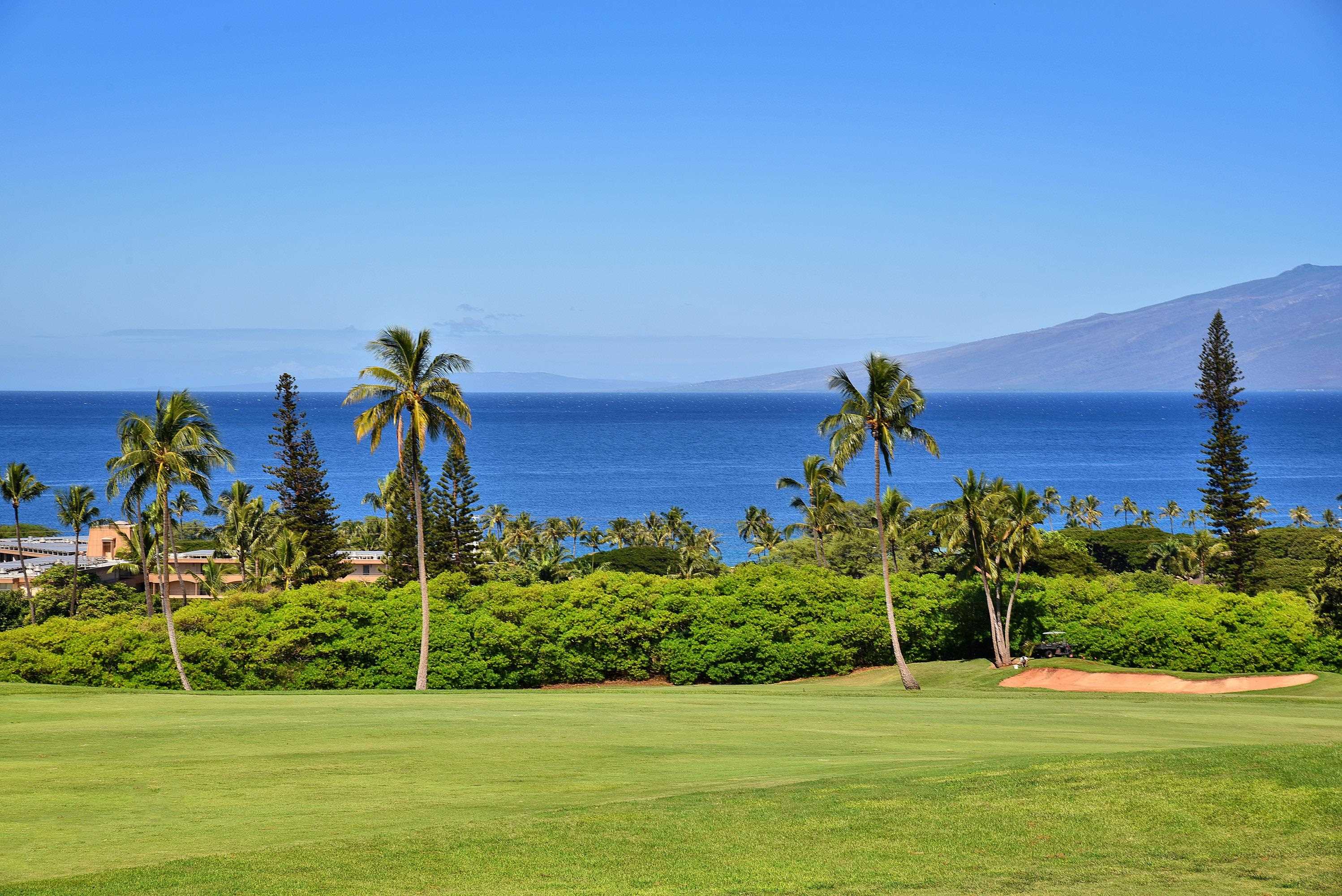 Masters condo # 703, Lahaina, Hawaii - photo 6 of 48