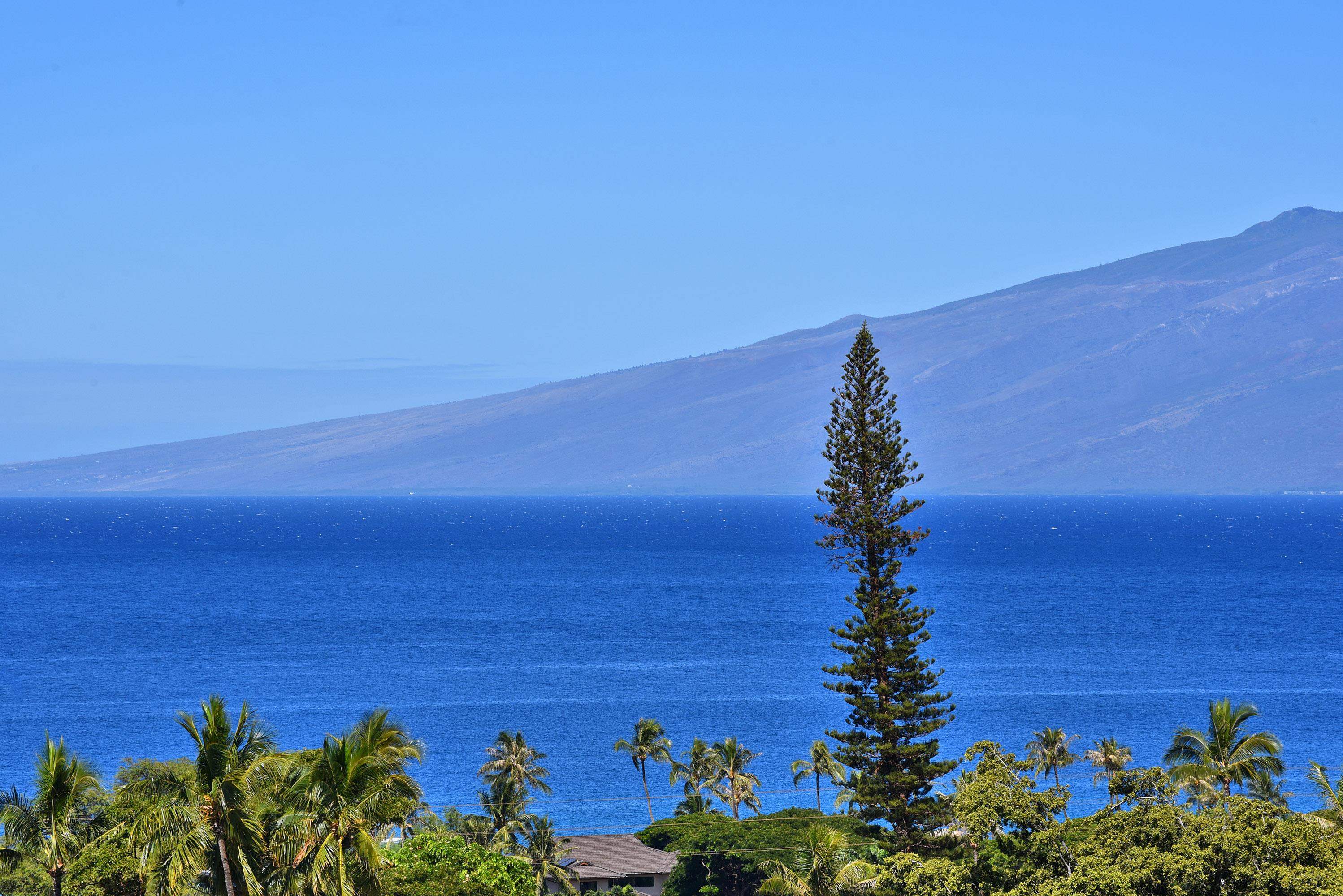 Masters condo # 703, Lahaina, Hawaii - photo 7 of 48