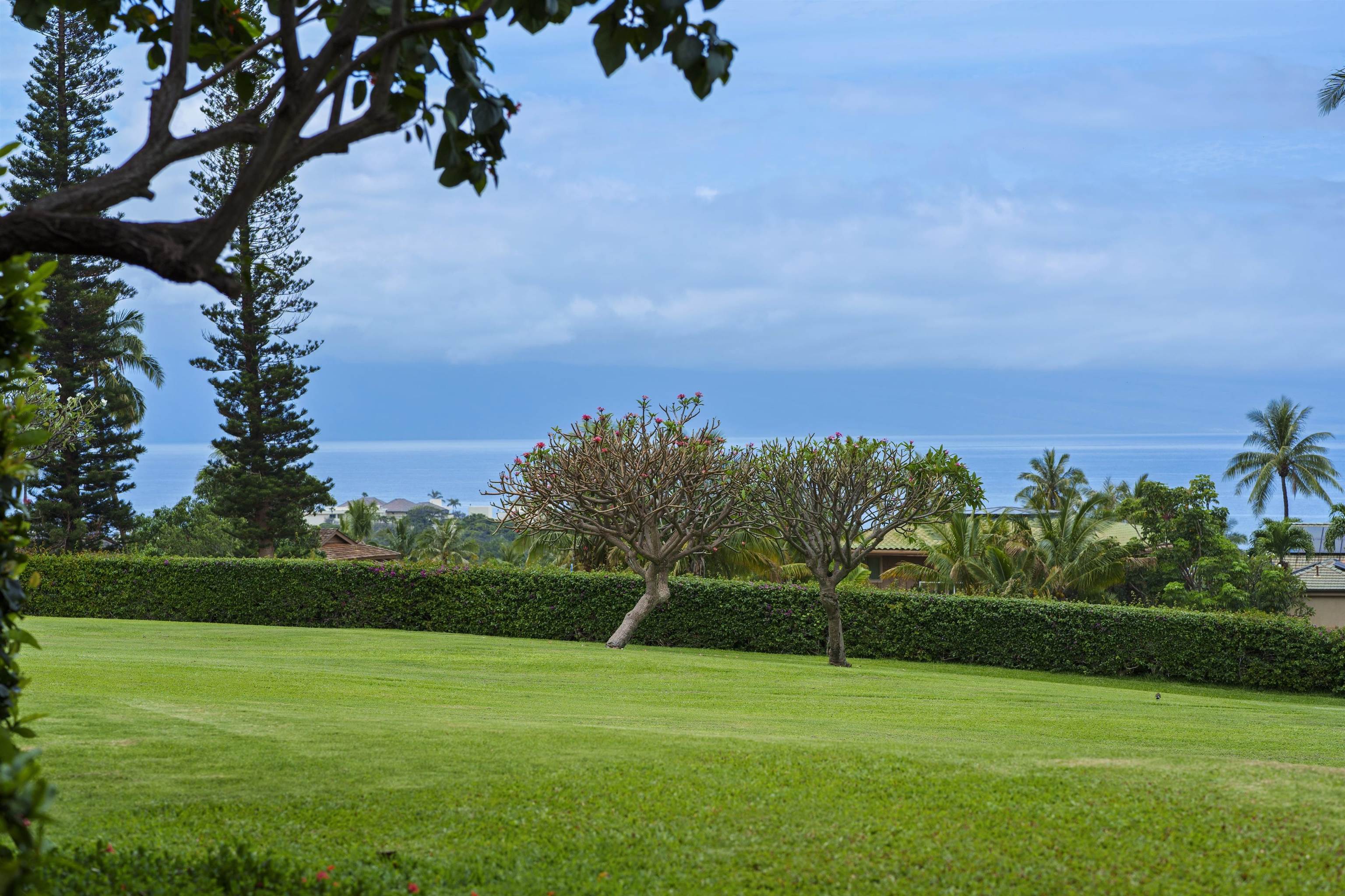 Masters condo # 901, Lahaina, Hawaii - photo 25 of 49