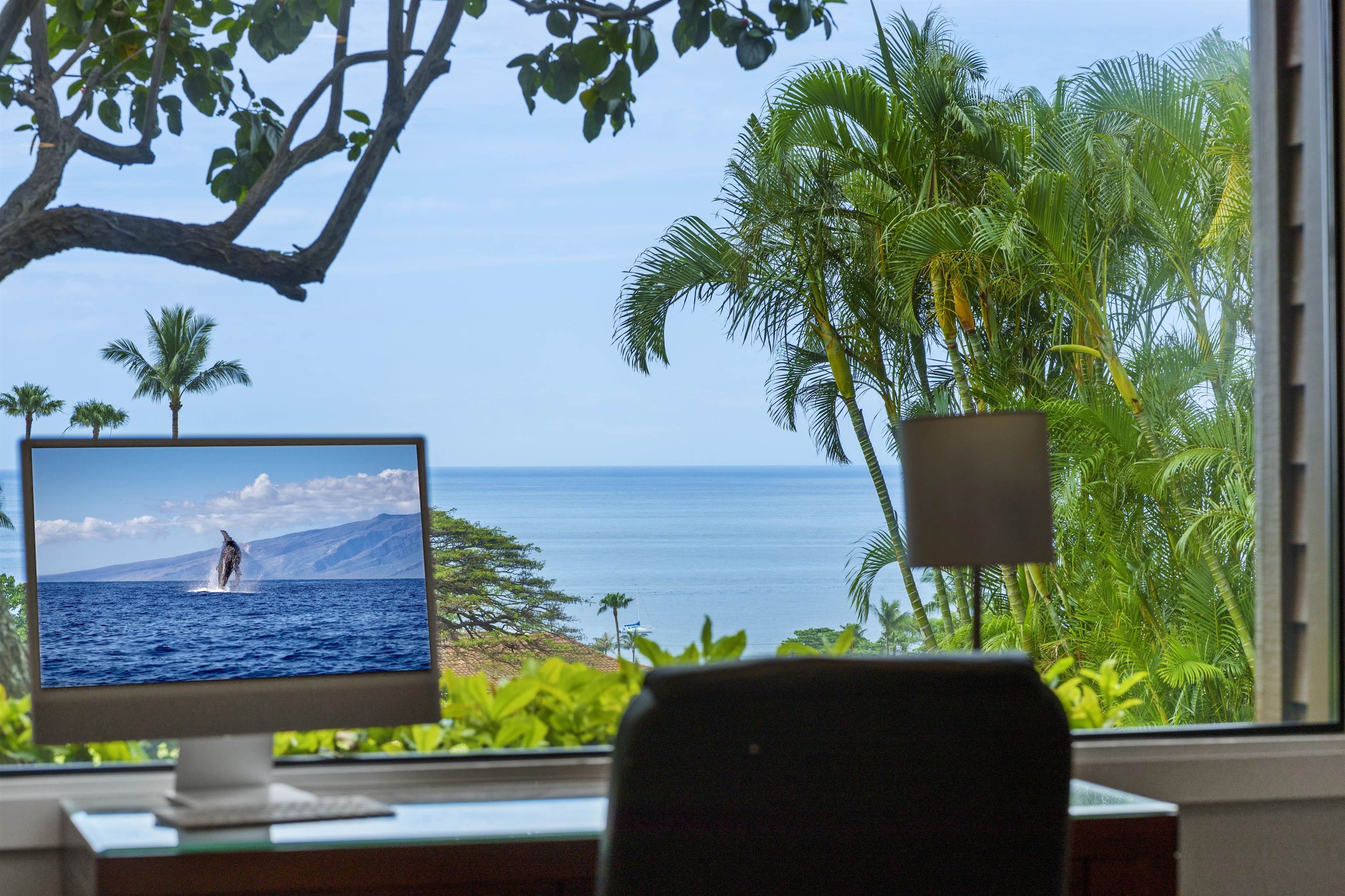 Masters condo # 901, Lahaina, Hawaii - photo 32 of 49