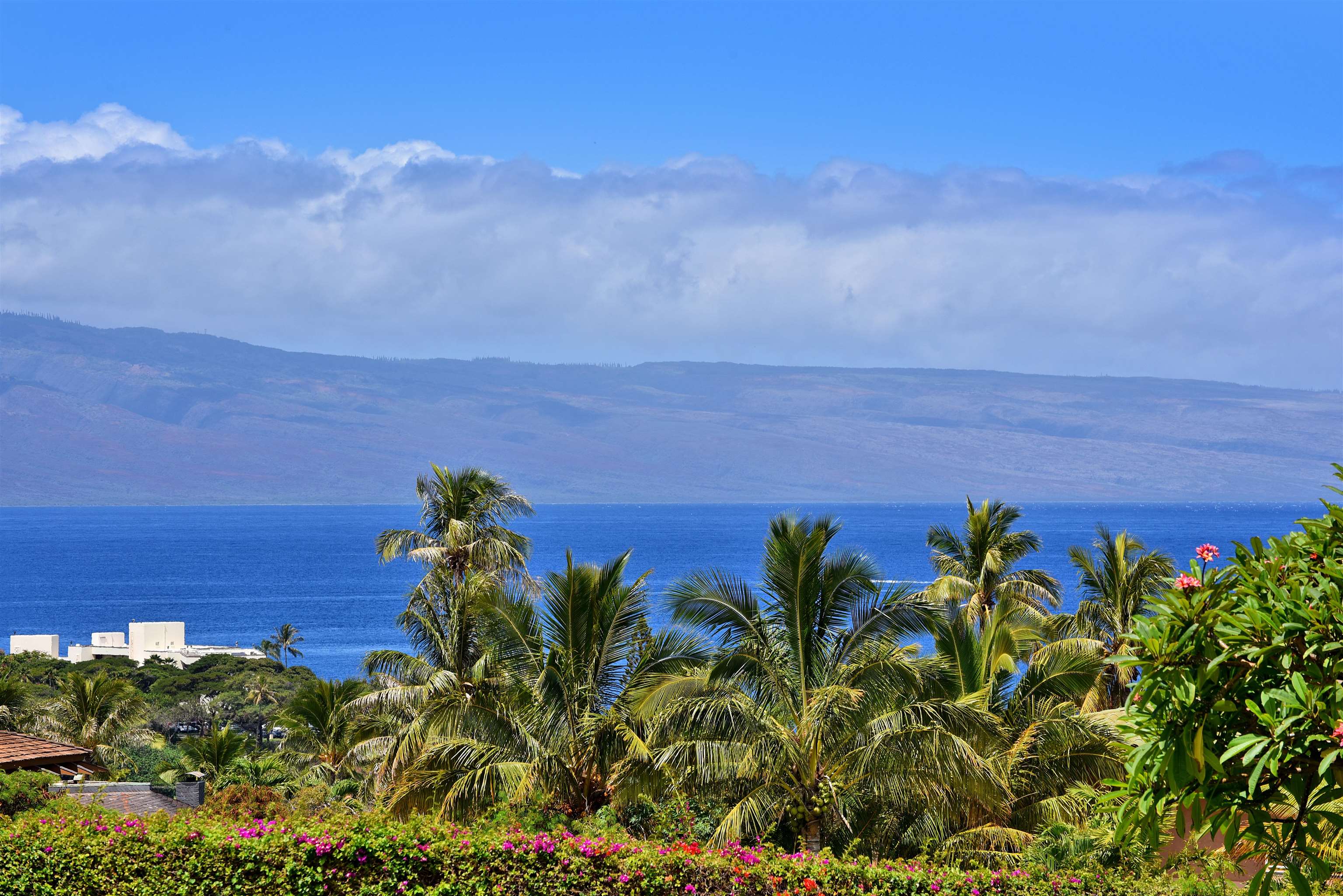 Masters condo # 903, Lahaina, Hawaii - photo 12 of 50