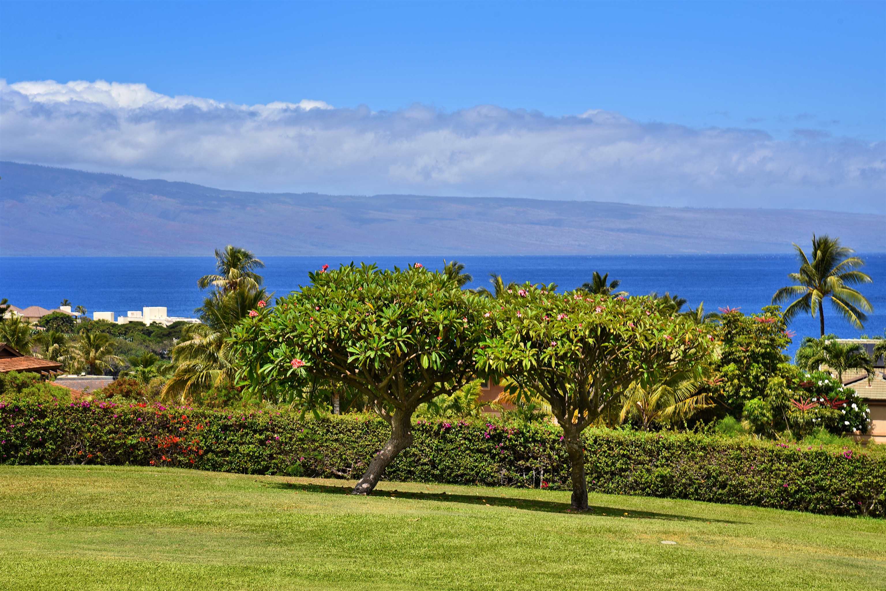 Masters condo # 903, Lahaina, Hawaii - photo 13 of 50