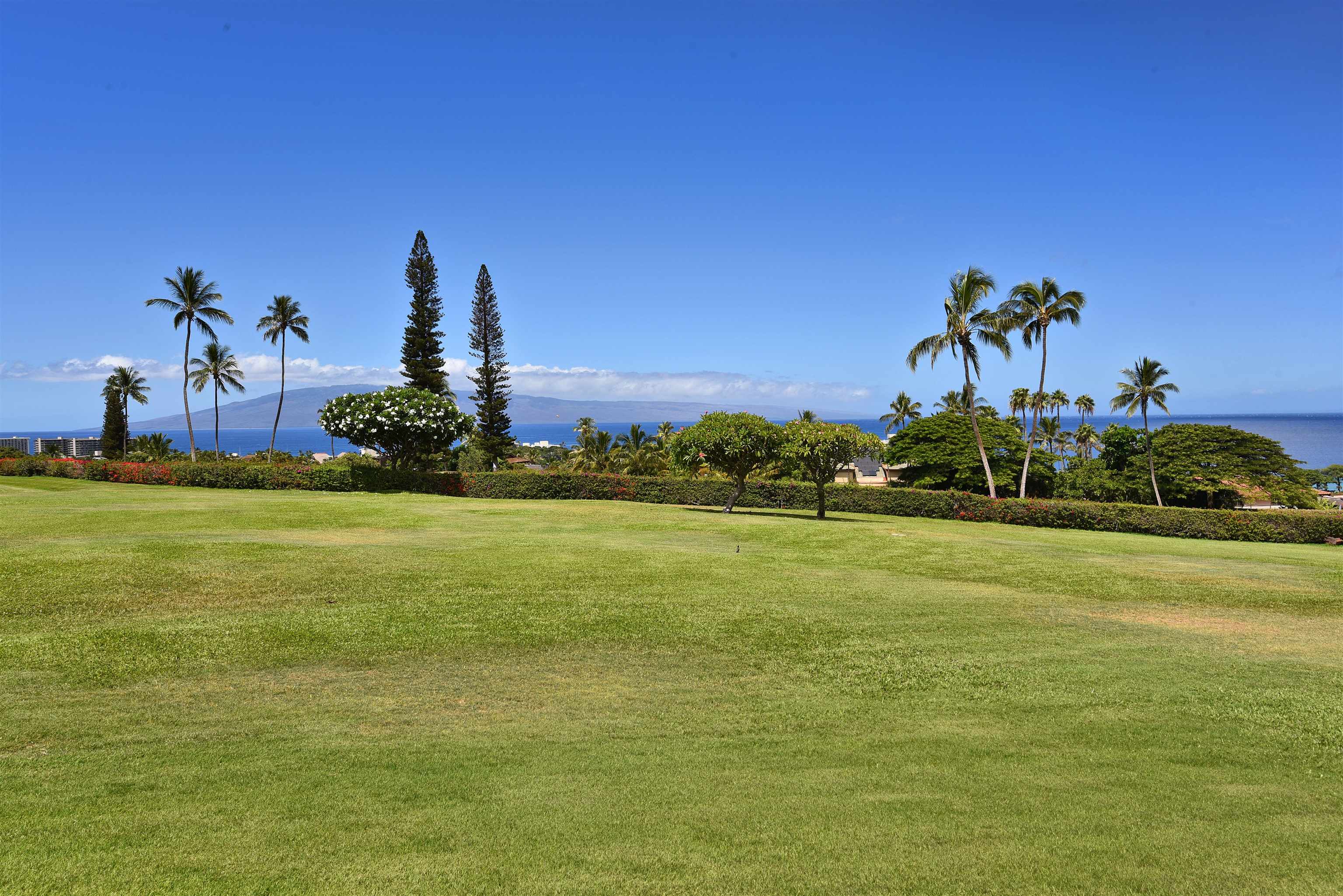 Masters condo # 903, Lahaina, Hawaii - photo 5 of 50