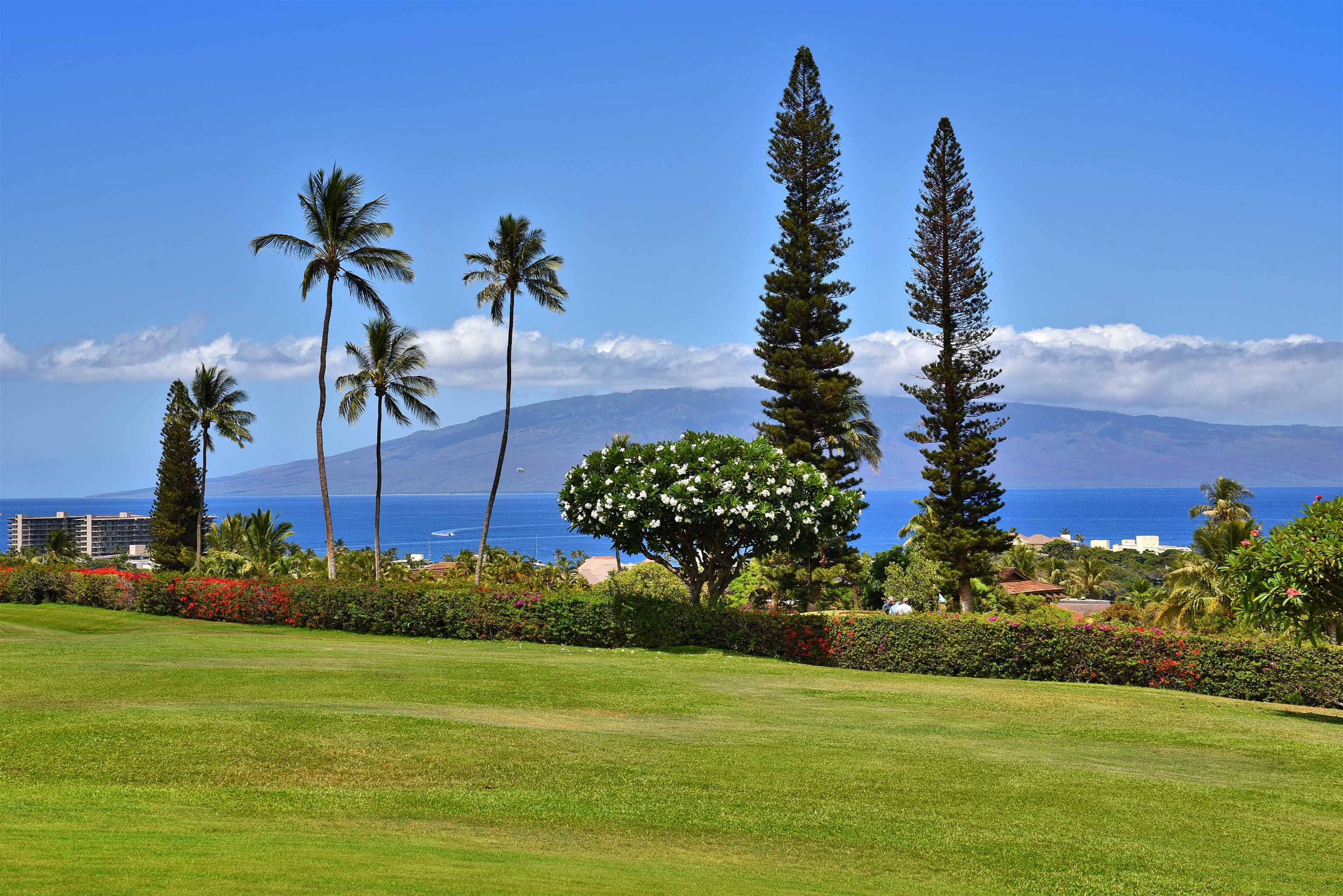 Masters condo # 903, Lahaina, Hawaii - photo 6 of 50