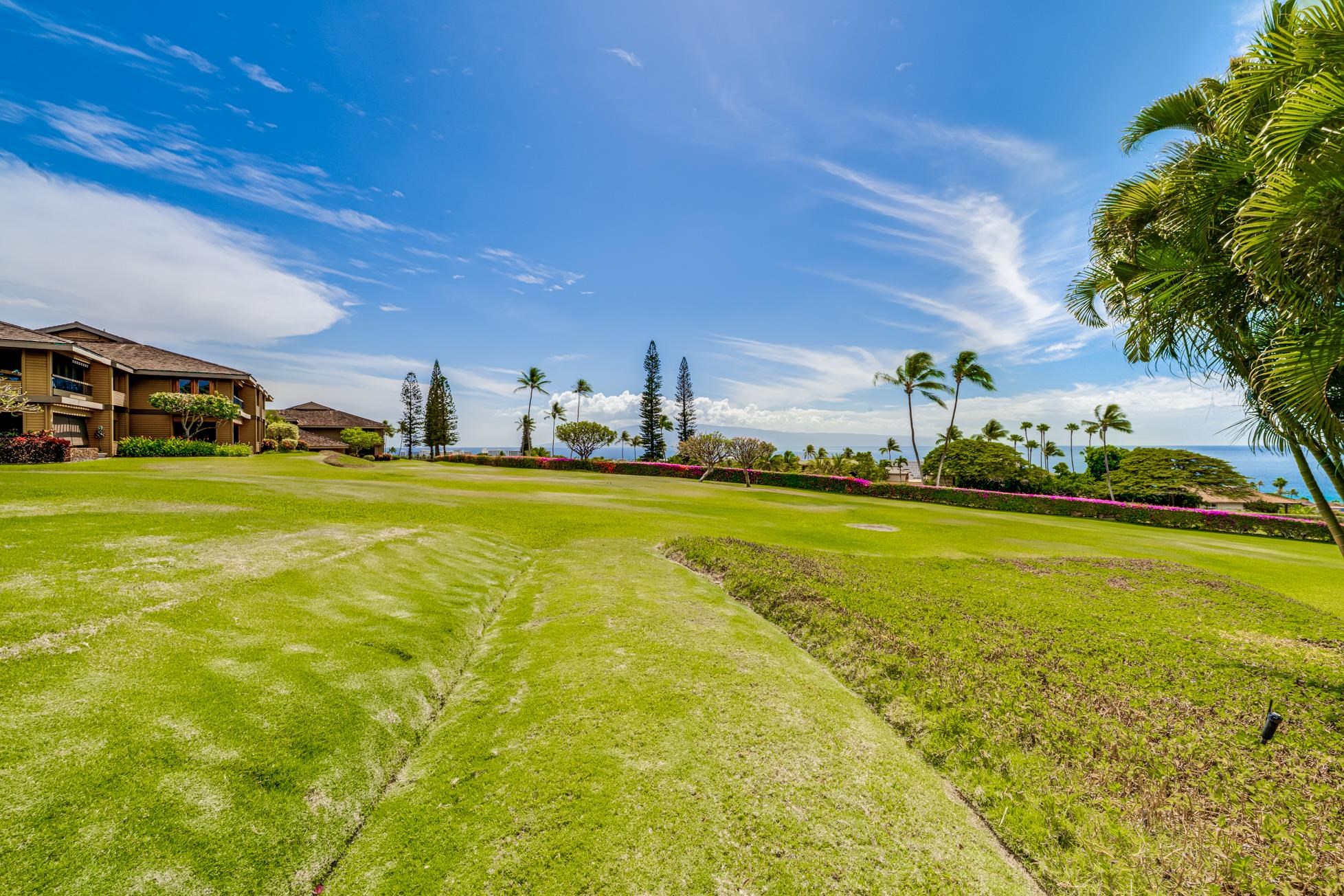Masters condo # 903, Lahaina, Hawaii - photo 40 of 50