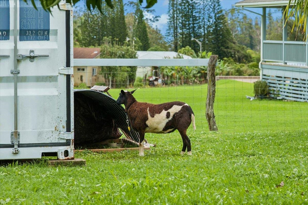 50  Uakoko Pl Haiku Mauka, Haiku home - photo 39 of 49