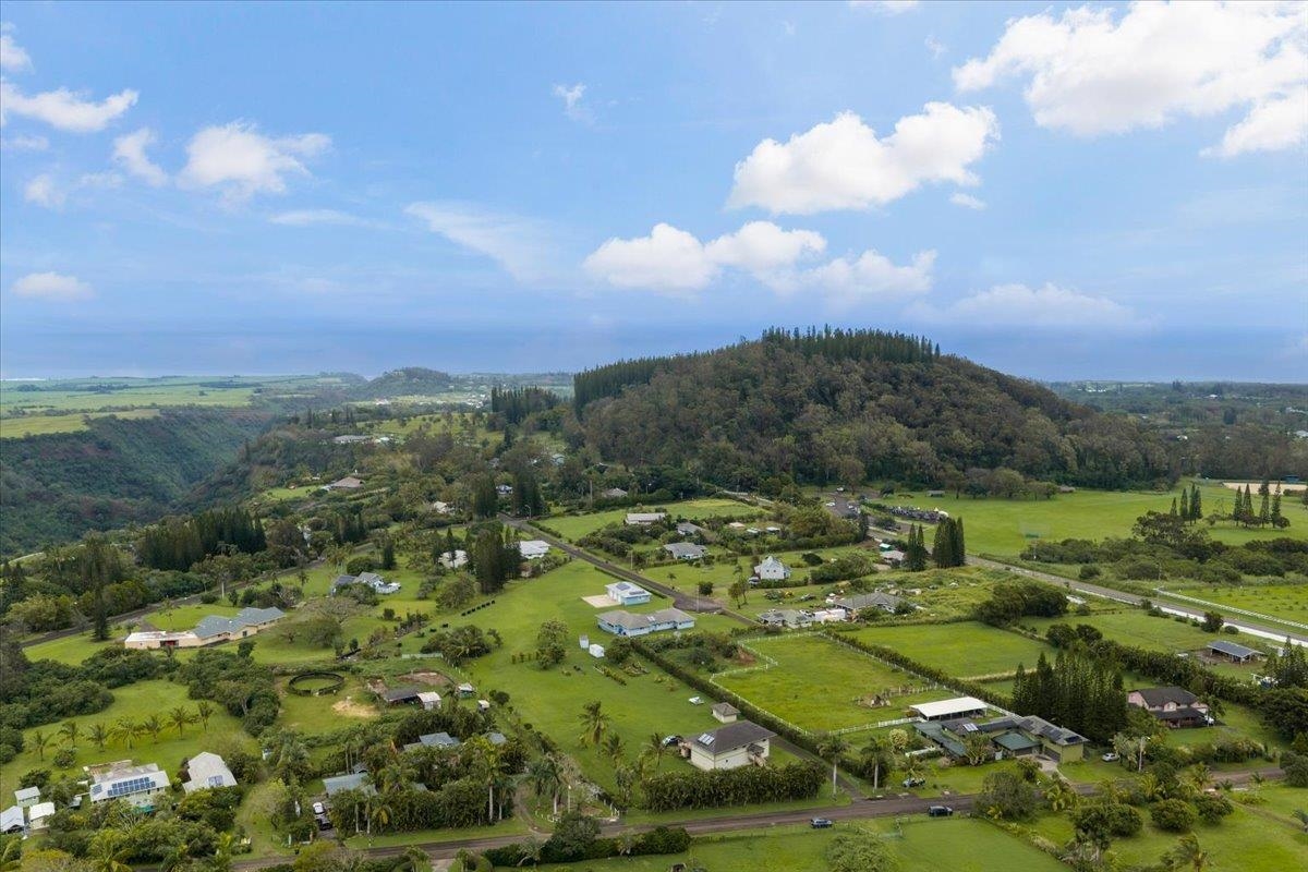 50  Uakoko Pl Haiku Mauka, Haiku home - photo 49 of 50