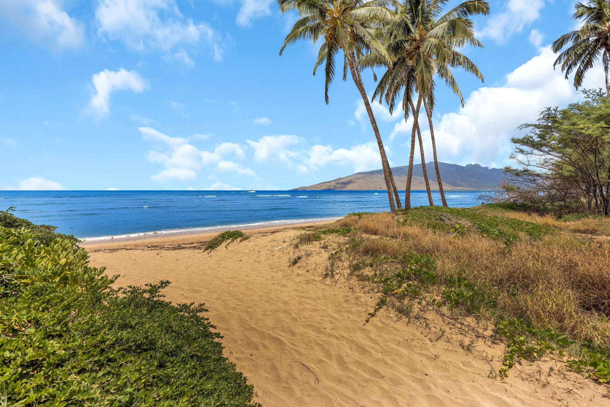 Boardwalk condo # E, Kihei, Hawaii - photo 27 of 27