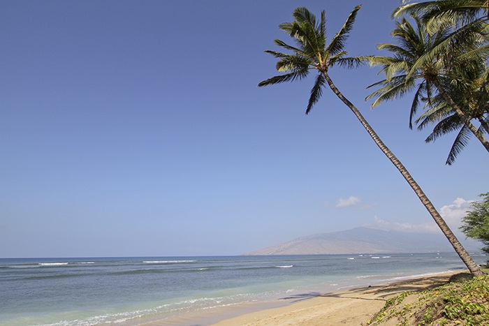 Boardwalk condo # F, Kihei, Hawaii - photo 3 of 29