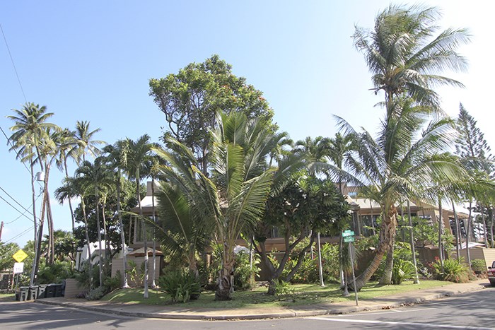 Boardwalk condo # F, Kihei, Hawaii - photo 29 of 29