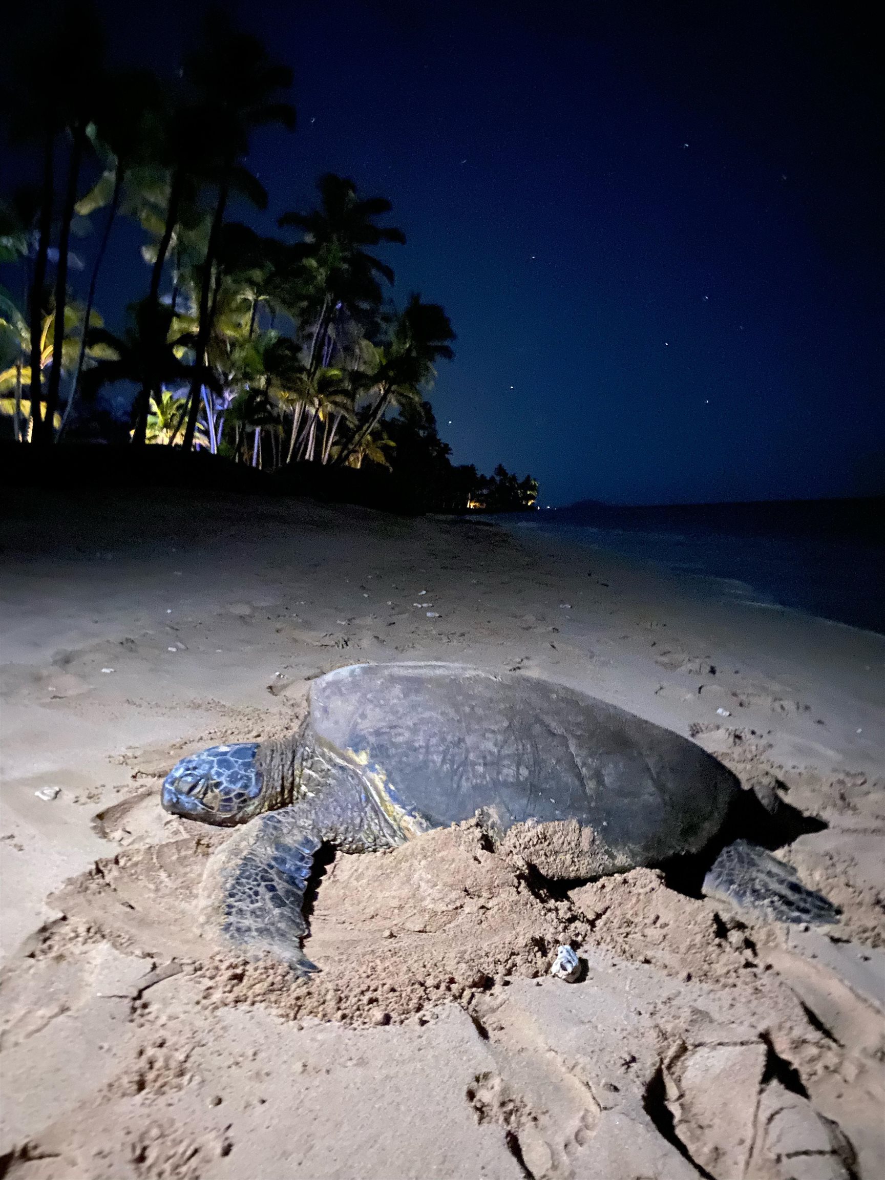 Boardwalk condo # J, Kihei, Hawaii - photo 41 of 41