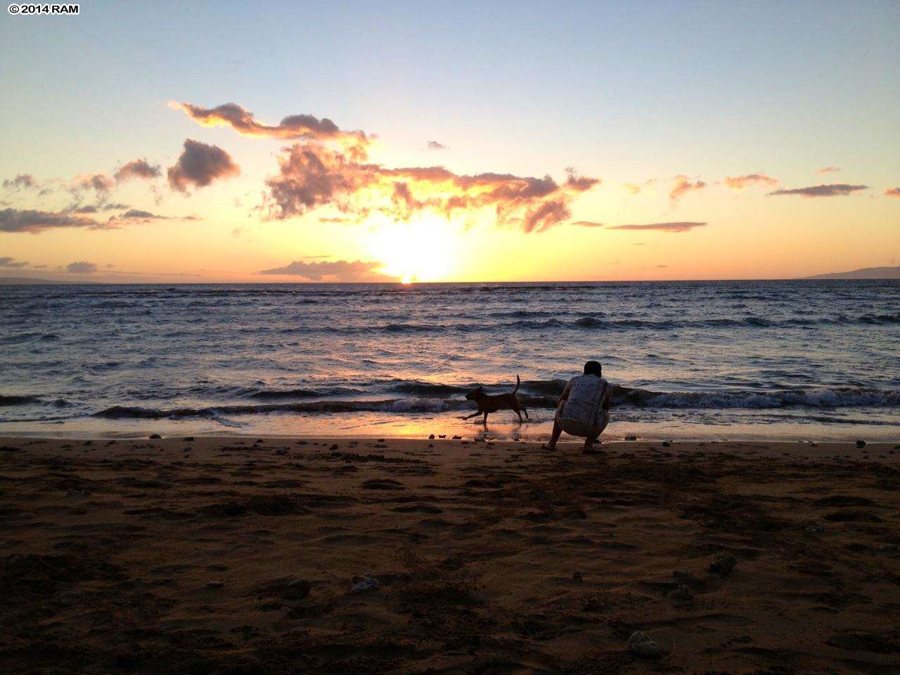 Boardwalk condo # H, Kihei, Hawaii - photo 29 of 29