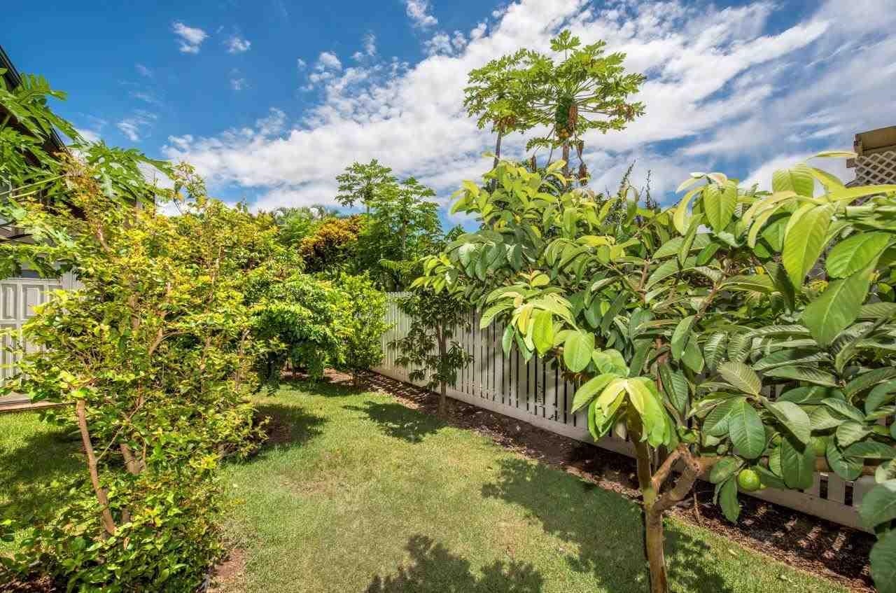 Iao Parkside IV-A condo # 103, Wailuku, Hawaii - photo 2 of 8