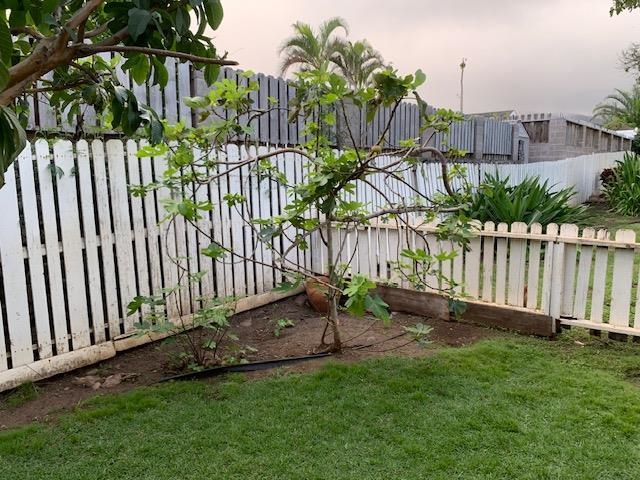 Iao Parkside IV-A condo # 103, Wailuku, Hawaii - photo 3 of 21