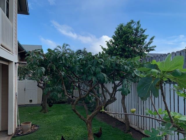 Iao Parkside IV-A condo # 103, Wailuku, Hawaii - photo 4 of 21