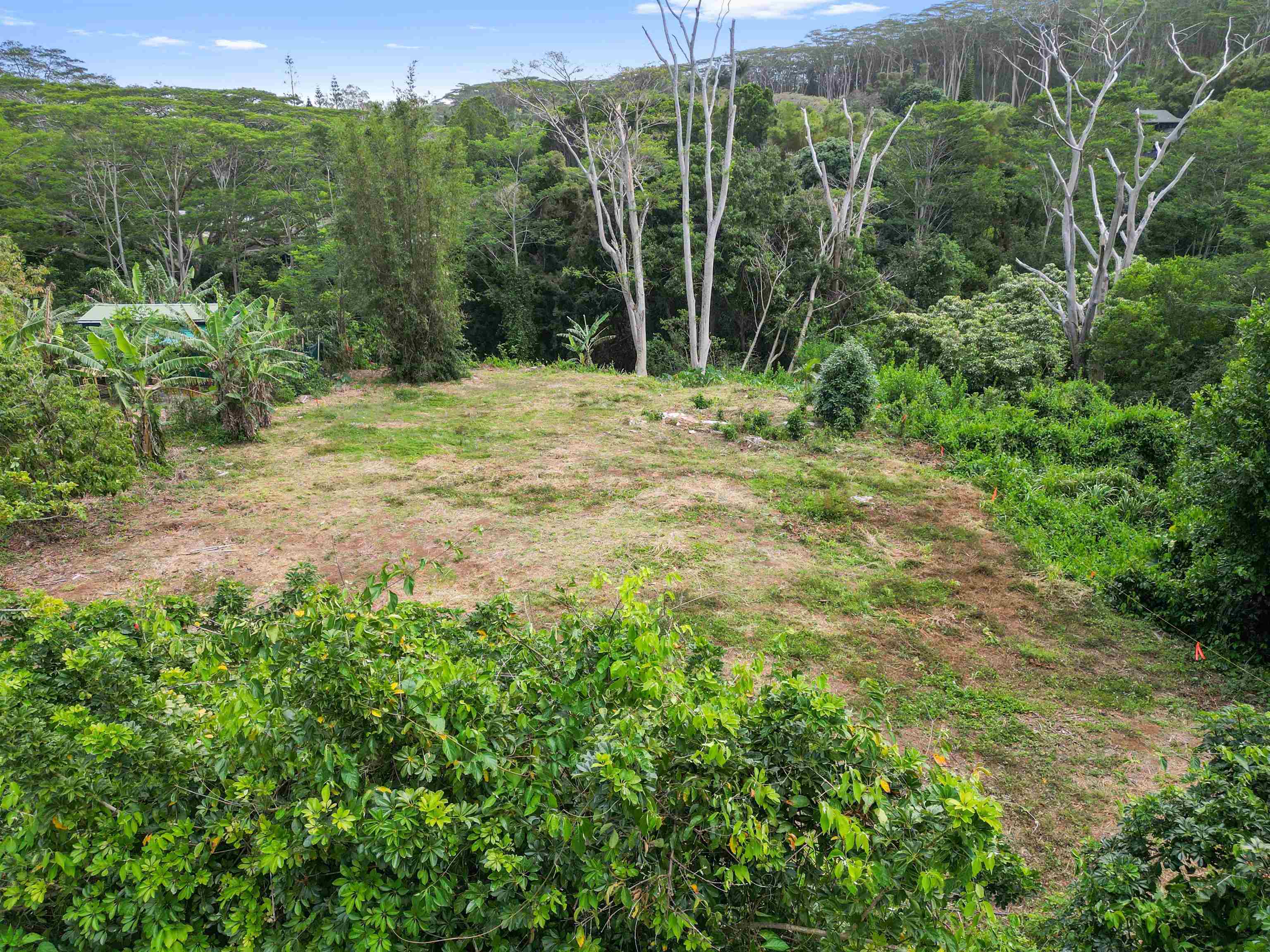 50 Waipuhia Pl B Haiku, Hi vacant land for sale - photo 2 of 32