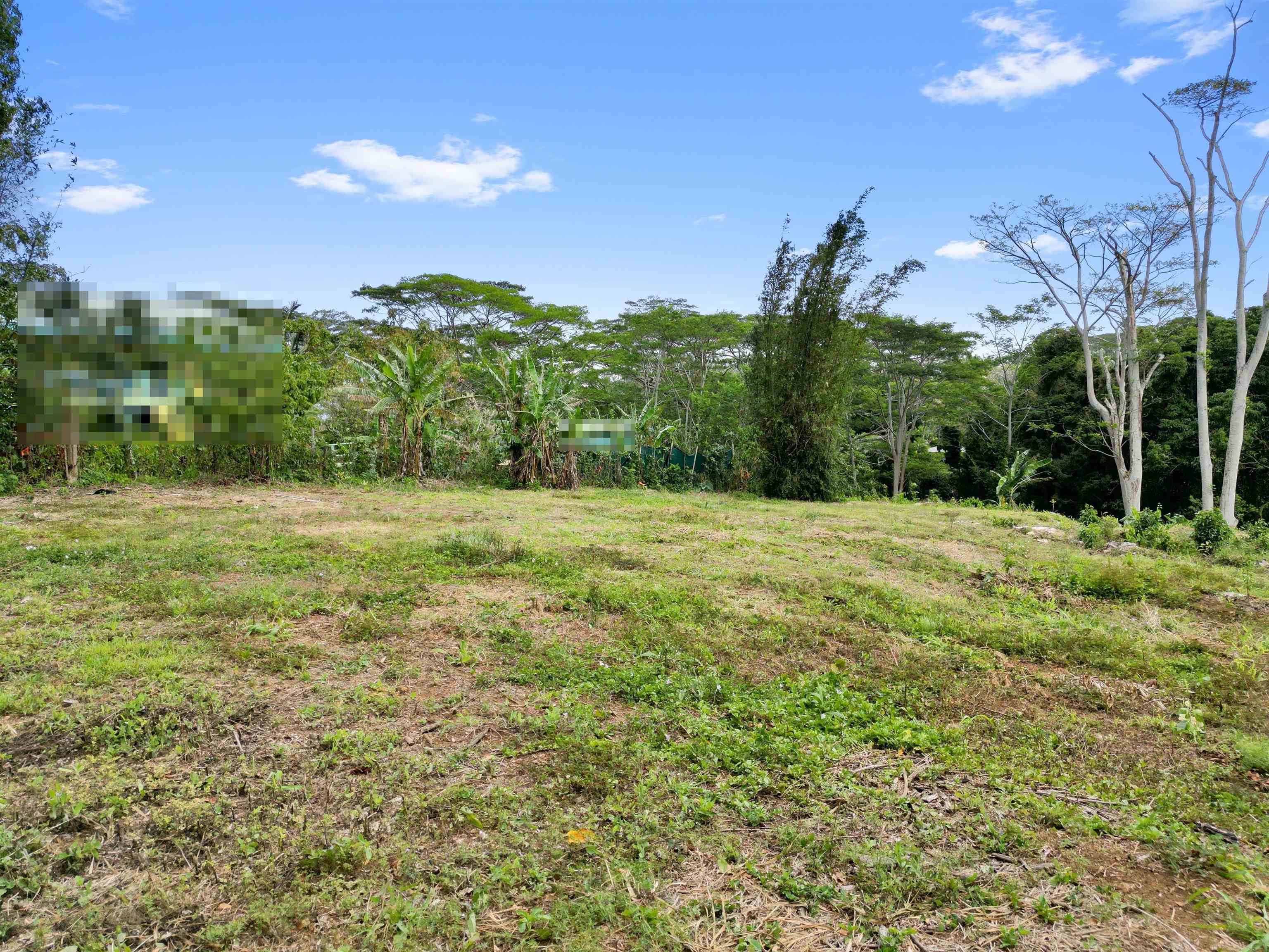 50 Waipuhia Pl B Haiku, Hi vacant land for sale - photo 14 of 32