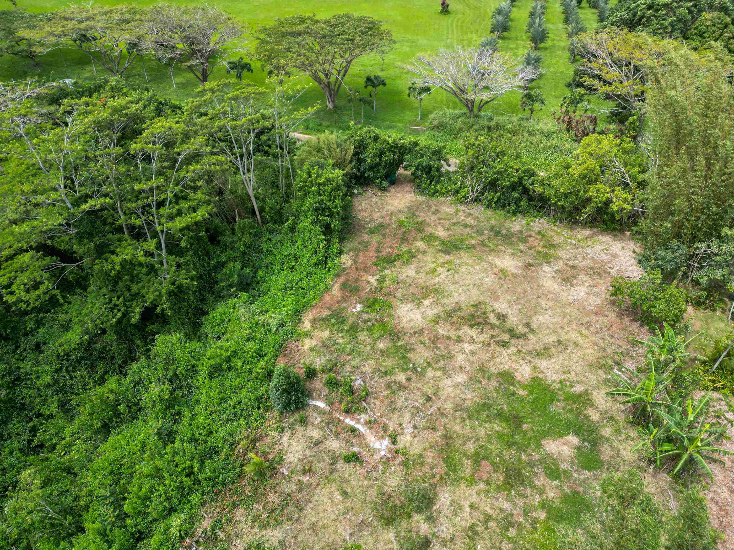 50 Waipuhia Pl B Haiku, Hi vacant land for sale - photo 20 of 32
