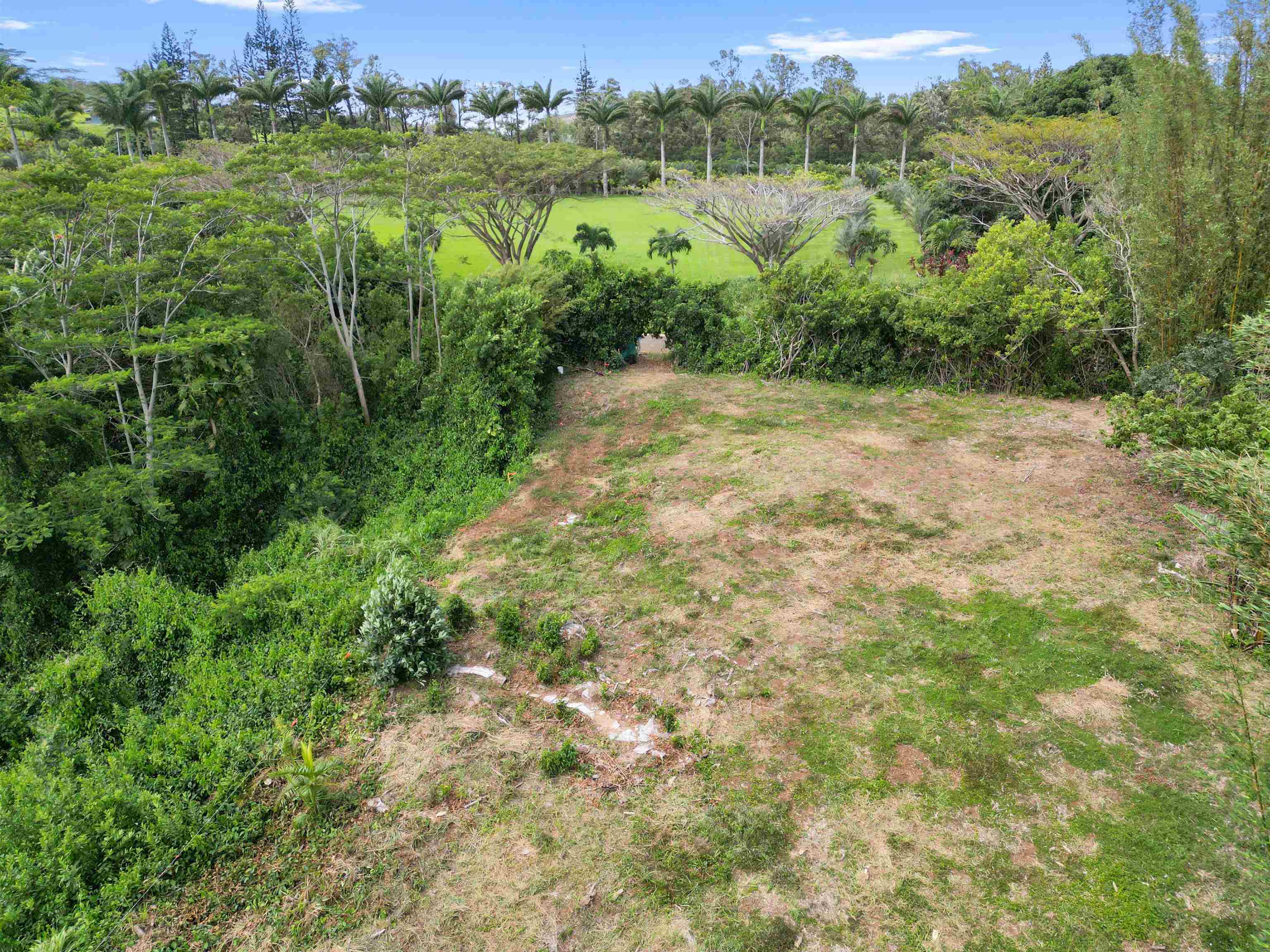 50 Waipuhia Pl B Haiku, Hi vacant land for sale - photo 24 of 32