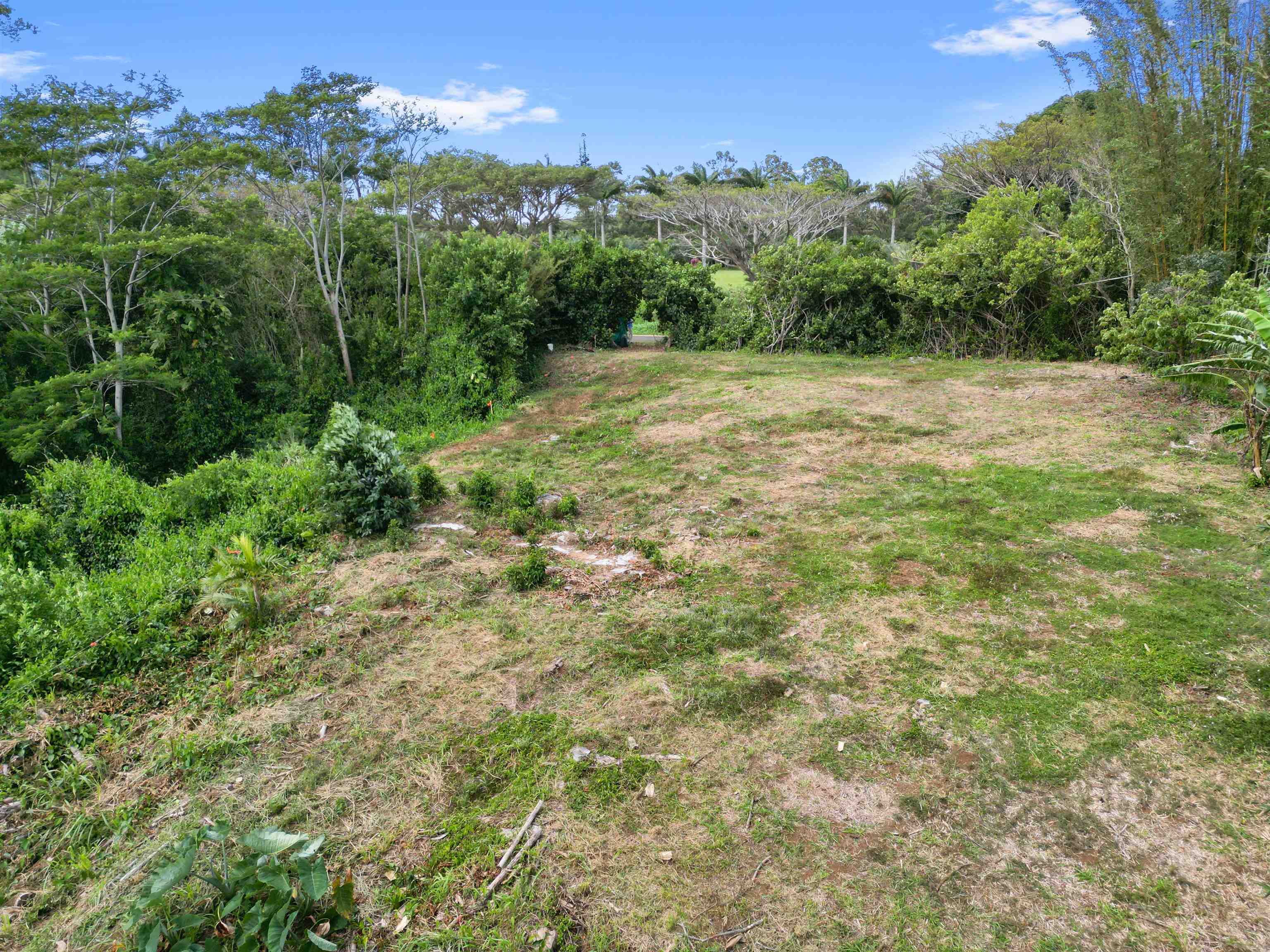 50 Waipuhia Pl B Haiku, Hi vacant land for sale - photo 25 of 32