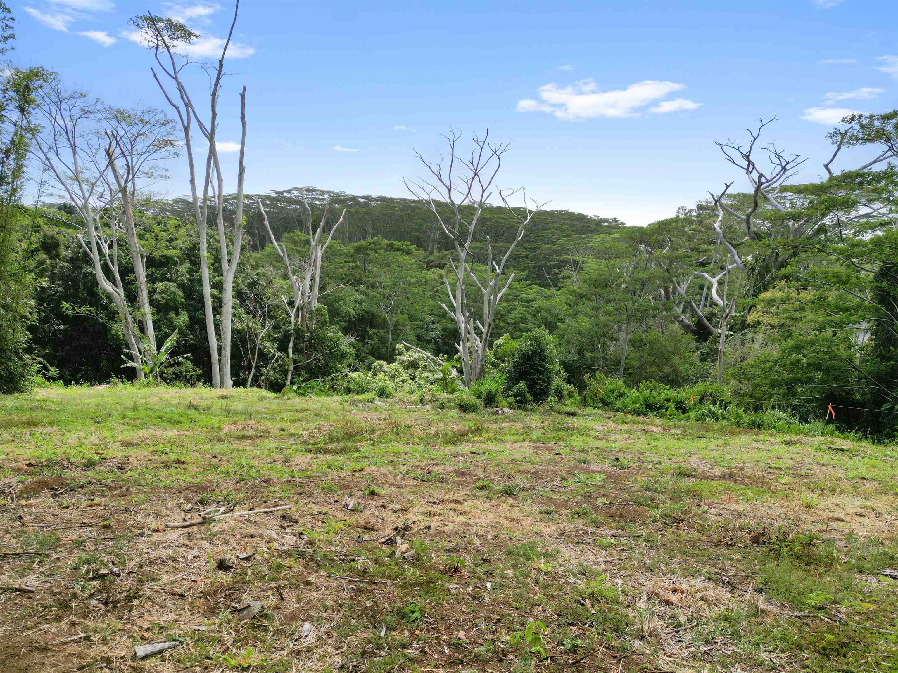 50 Waipuhia Pl B Haiku, Hi vacant land for sale - photo 27 of 32