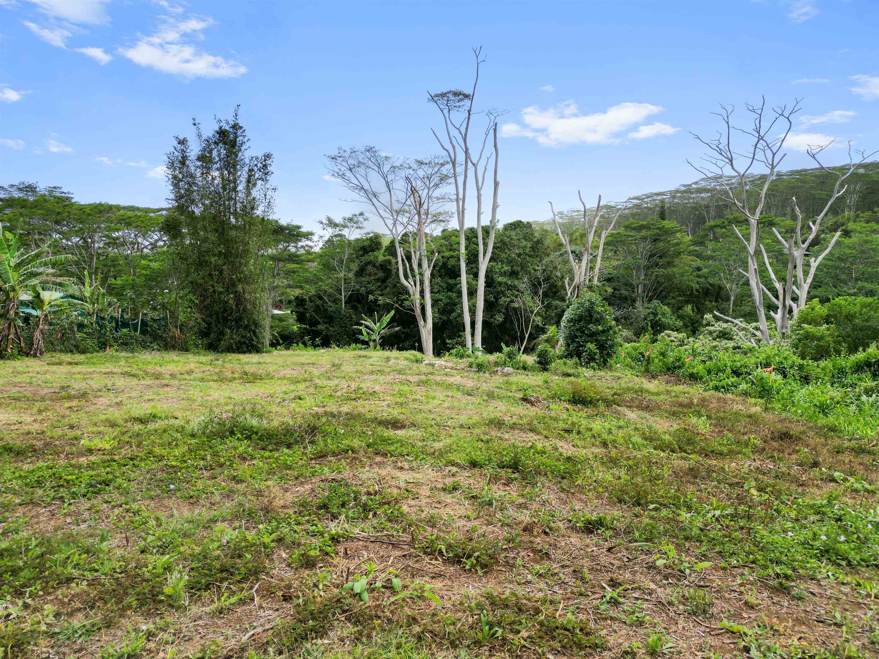 50 Waipuhia Pl B Haiku, Hi vacant land for sale - photo 6 of 32