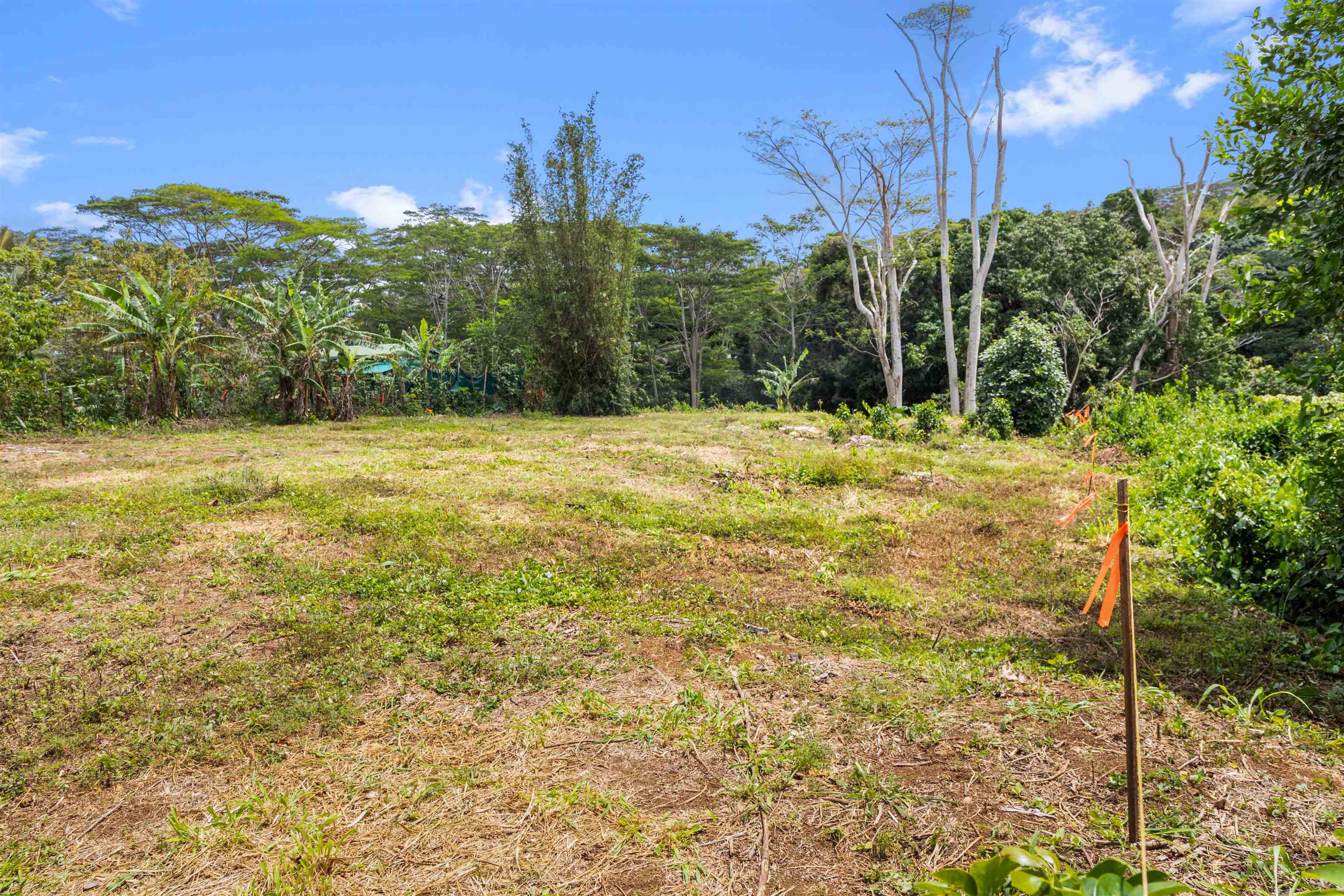 50 Waipuhia Pl B Haiku, Hi vacant land for sale - photo 7 of 32