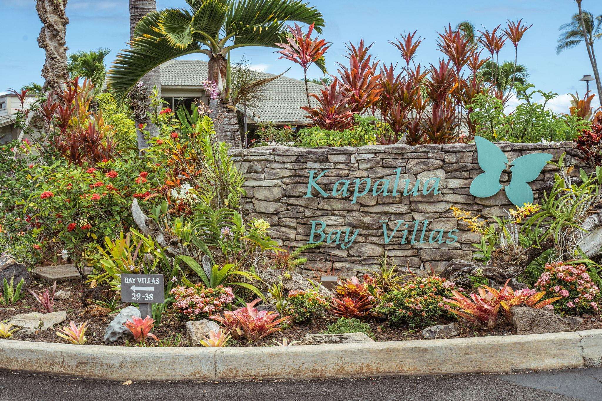 Kapalua Bay Villas I condo # 19-B4, Lahaina, Hawaii - photo 31 of 50