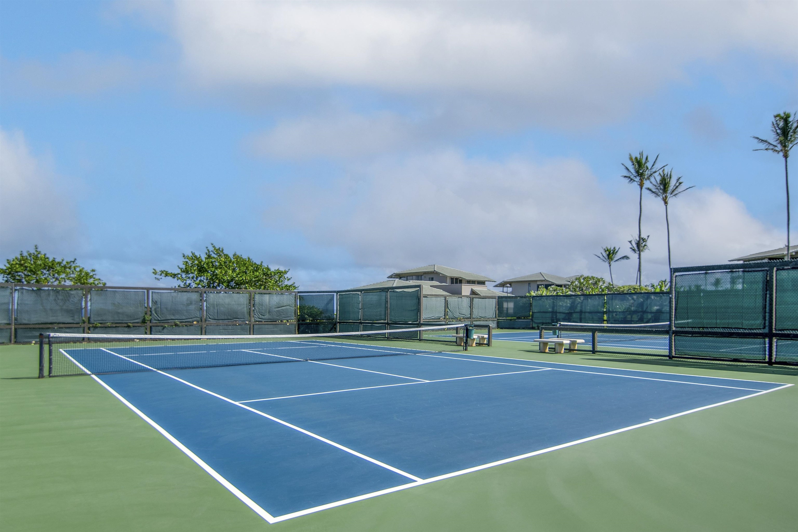 Kapalua Bay Villas I condo # 23B3, Lahaina, Hawaii - photo 45 of 50