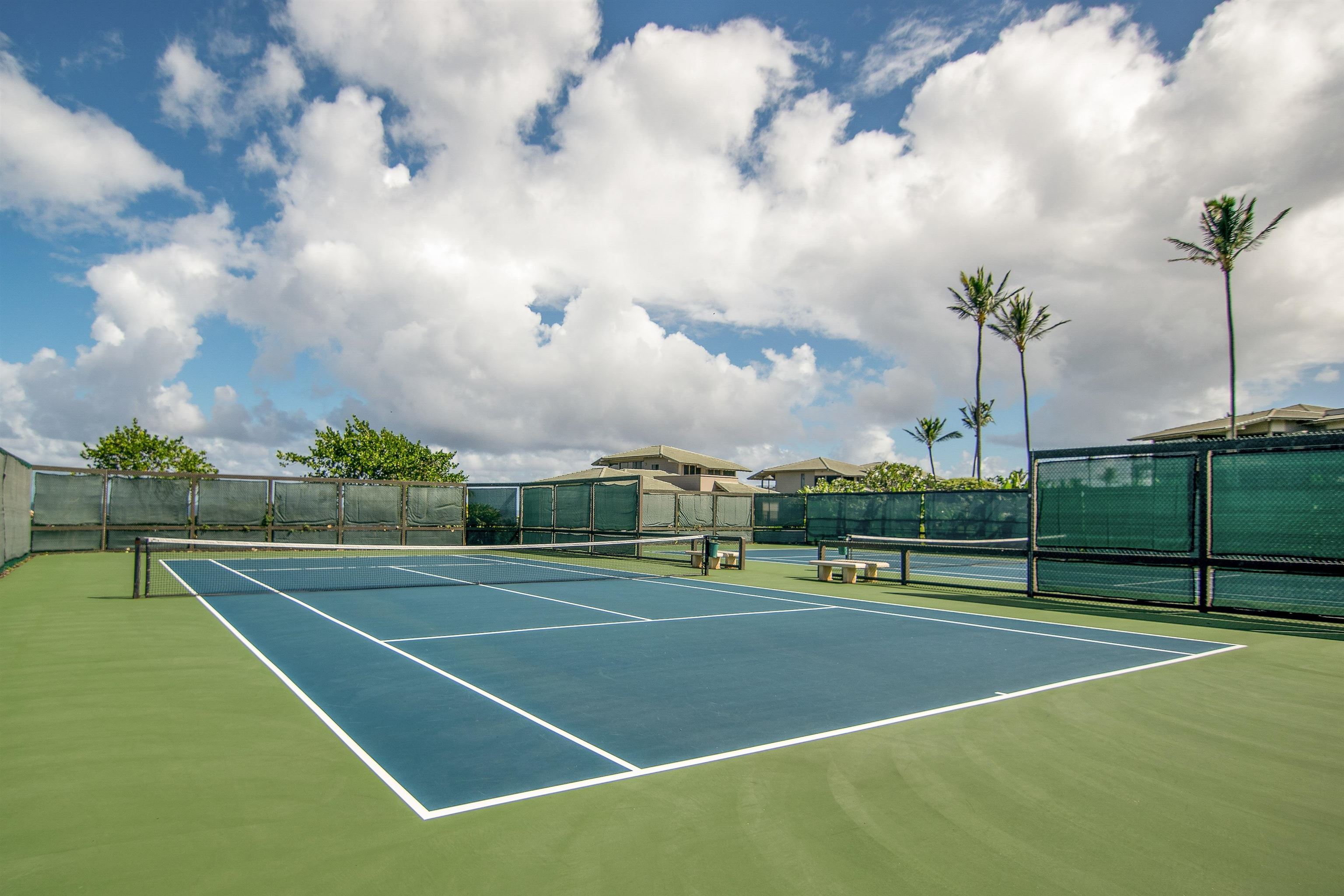 Kapalua Bay Villas II condo # 37B2-4, Lahaina, Hawaii - photo 41 of 46