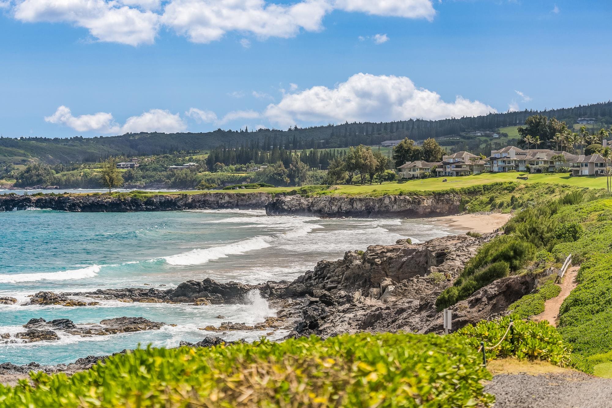 Kapalua Bay Villas I condo # 37B3,4,5, Lahaina, Hawaii - photo 38 of 50