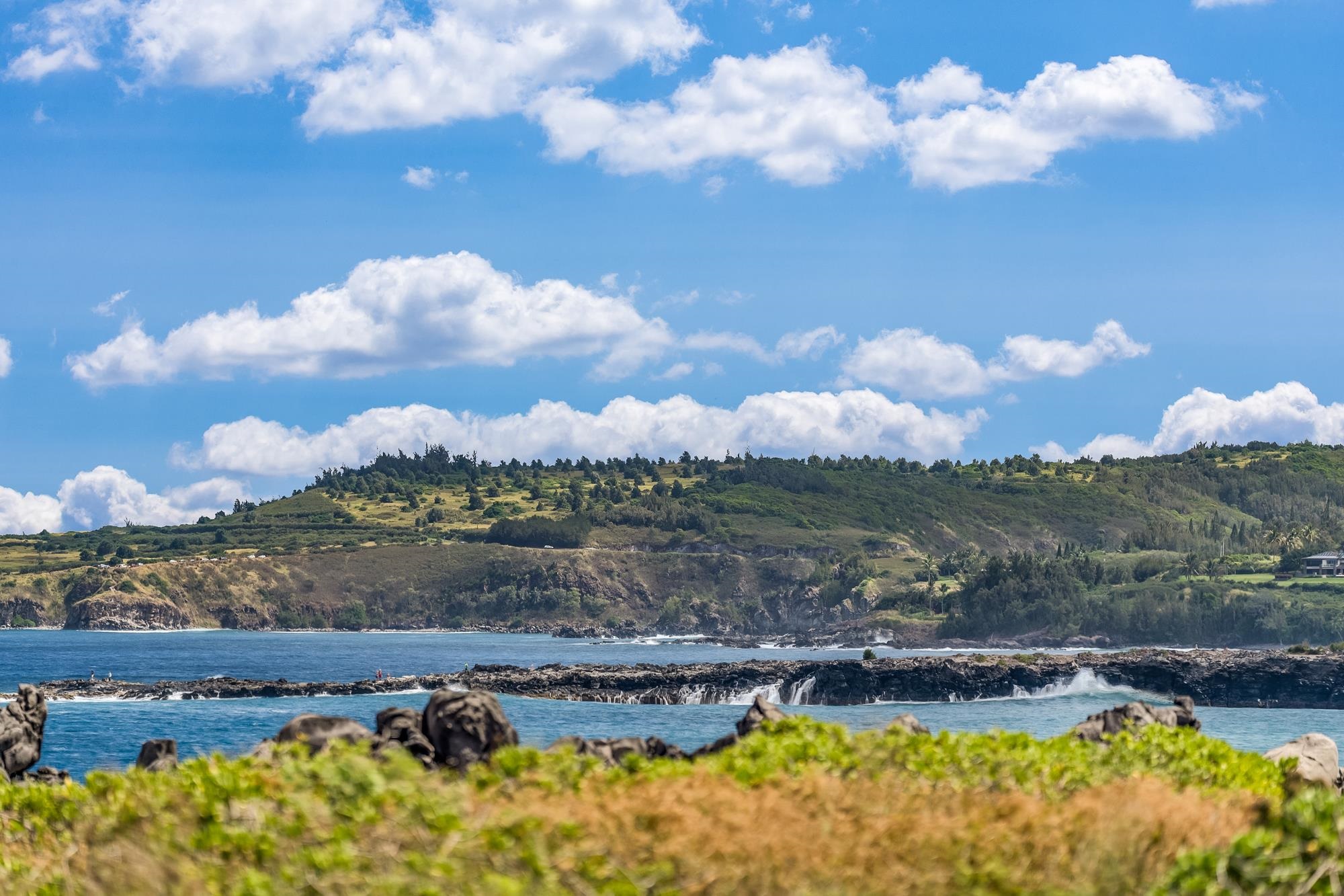 Kapalua Bay Villas I condo # 37B3,4,5, Lahaina, Hawaii - photo 40 of 50