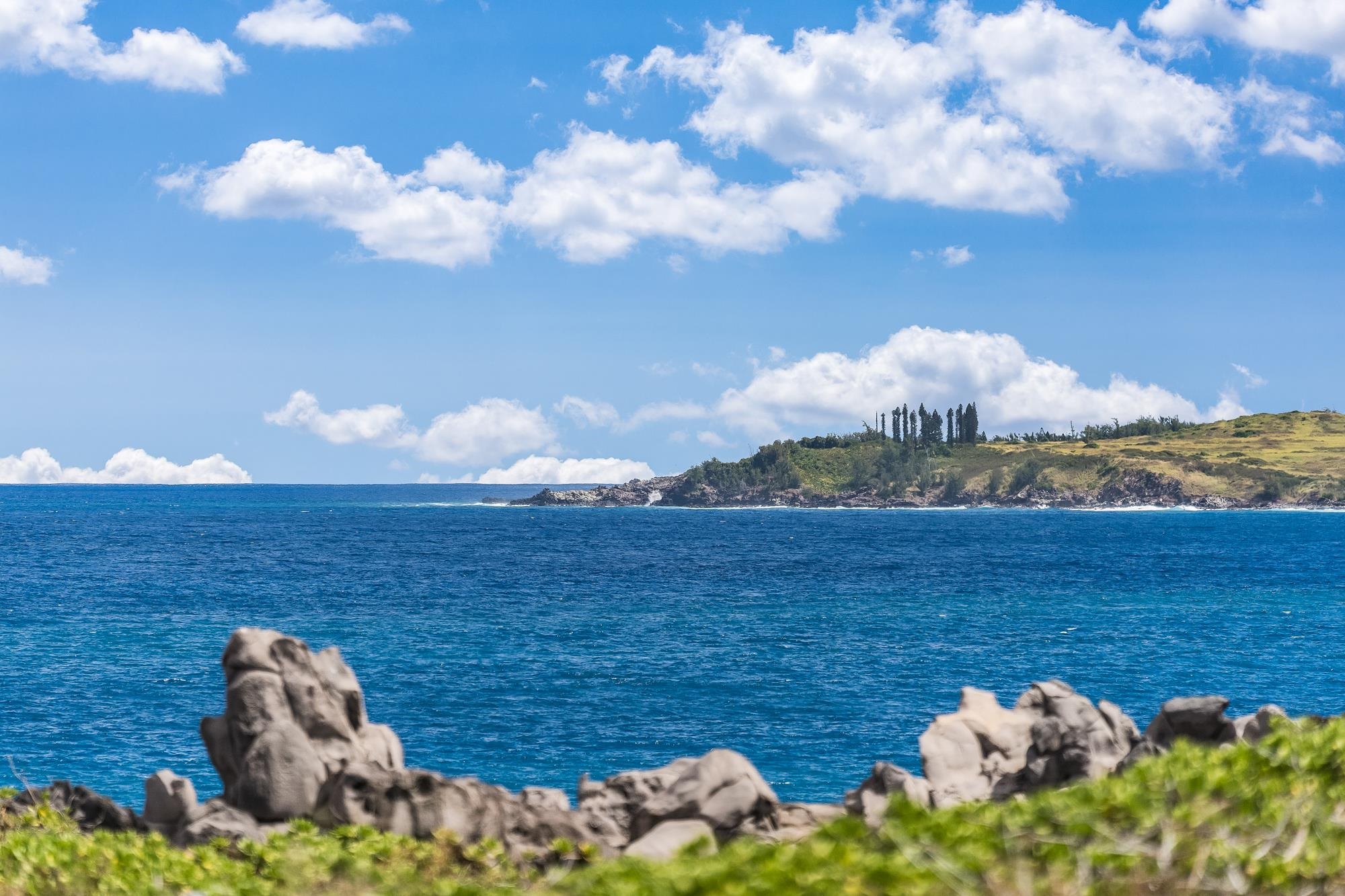 Kapalua Bay Villas I condo # 37B3,4,5, Lahaina, Hawaii - photo 41 of 50