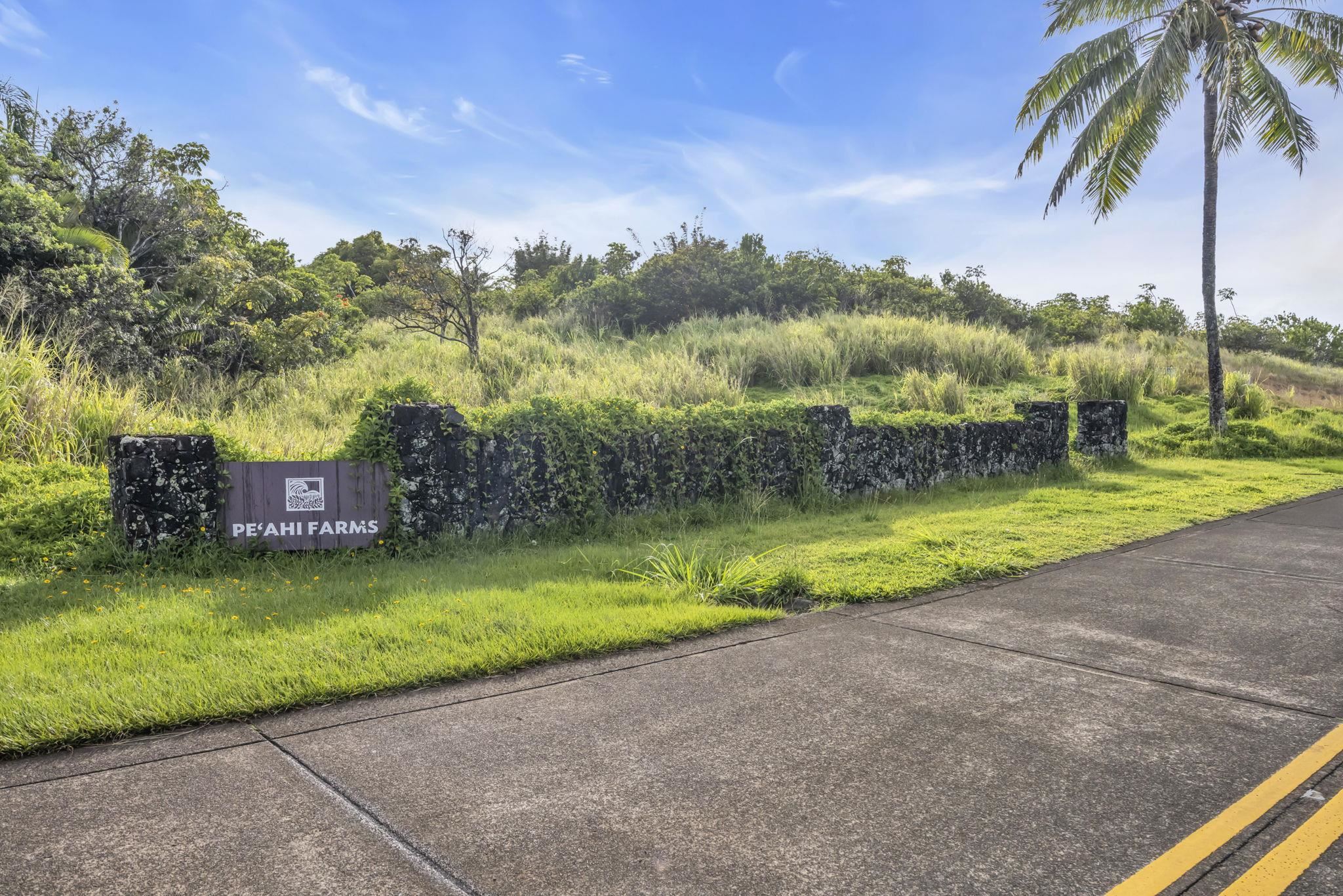 500  Kai Huki Cir Peahi Farms, Haiku home - photo 32 of 50