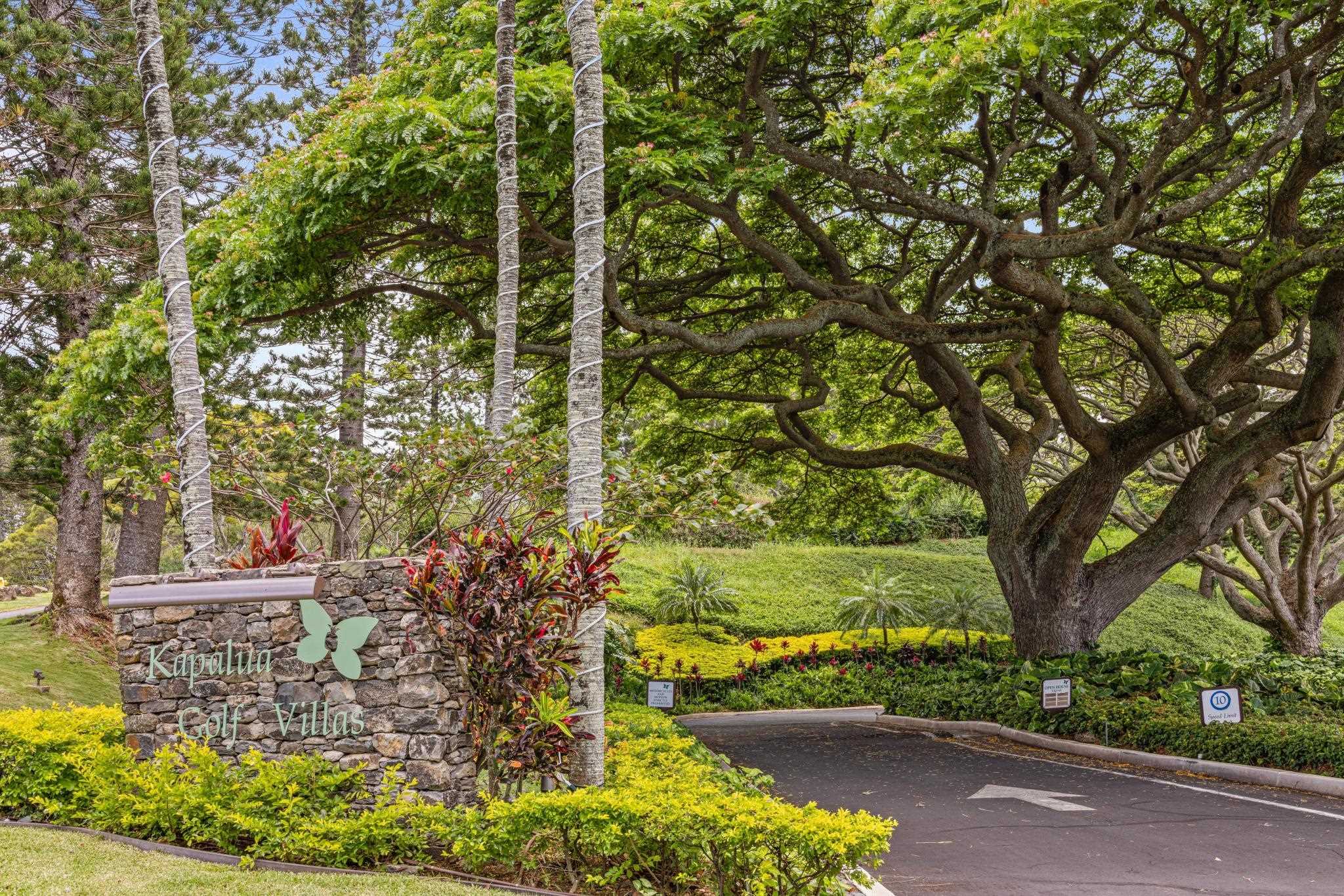 Kapalua Golf Villas condo # 11P3-4, Lahaina, Hawaii - photo 3 of 43