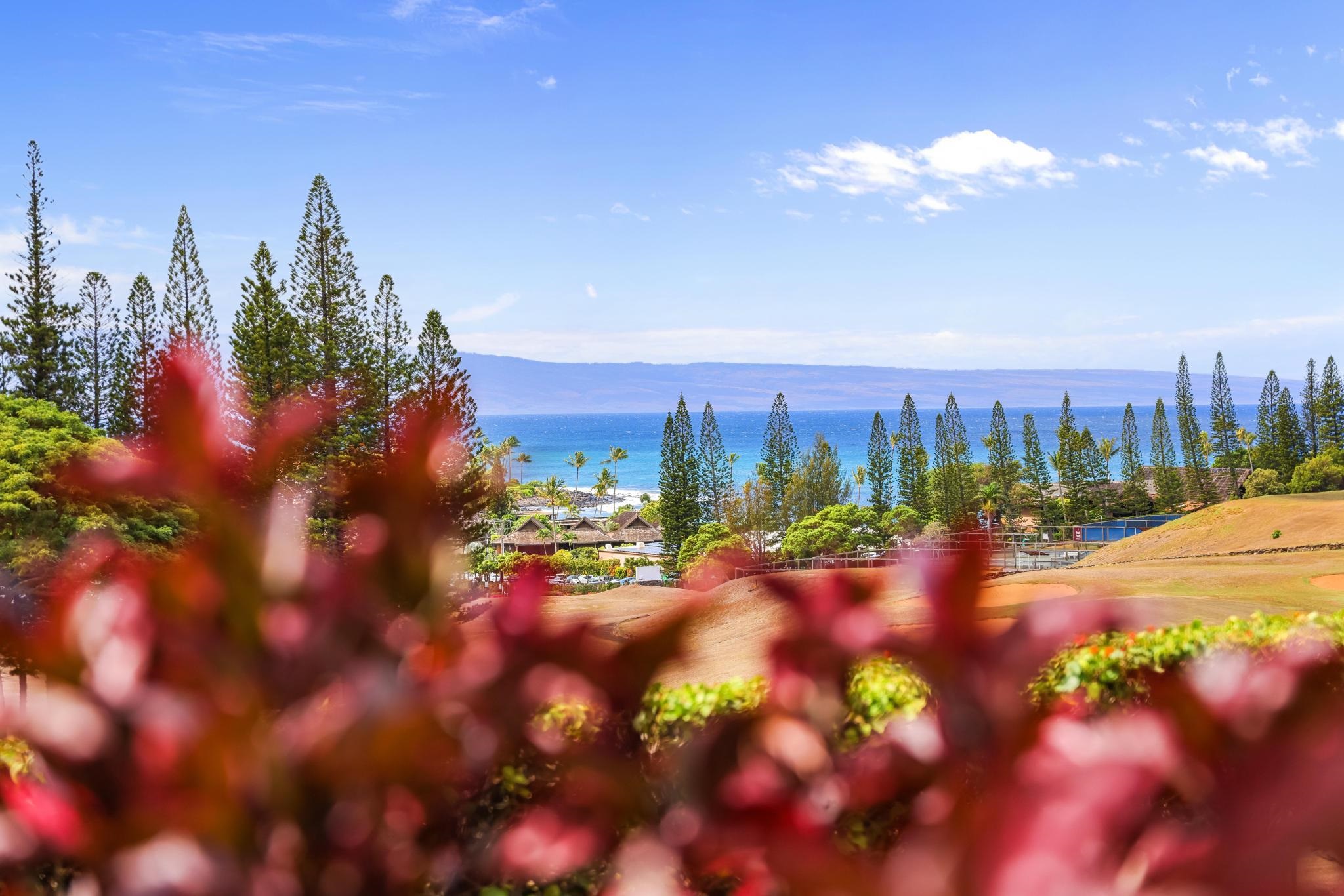 Kapalua Golf Villas condo # 11P3-4, Lahaina, Hawaii - photo 35 of 36