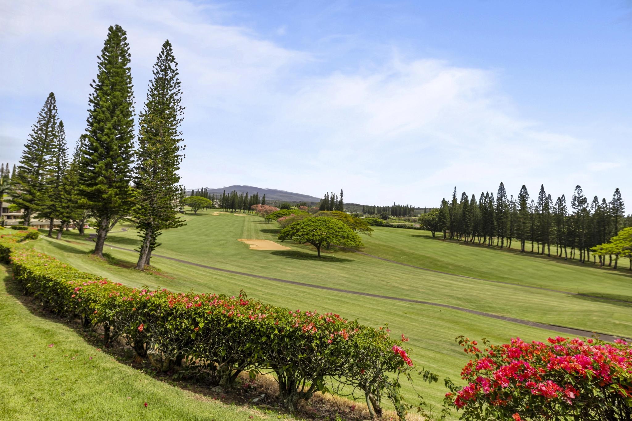 Kapalua Golf Villas condo # 11P3-4, Lahaina, Hawaii - photo 41 of 43