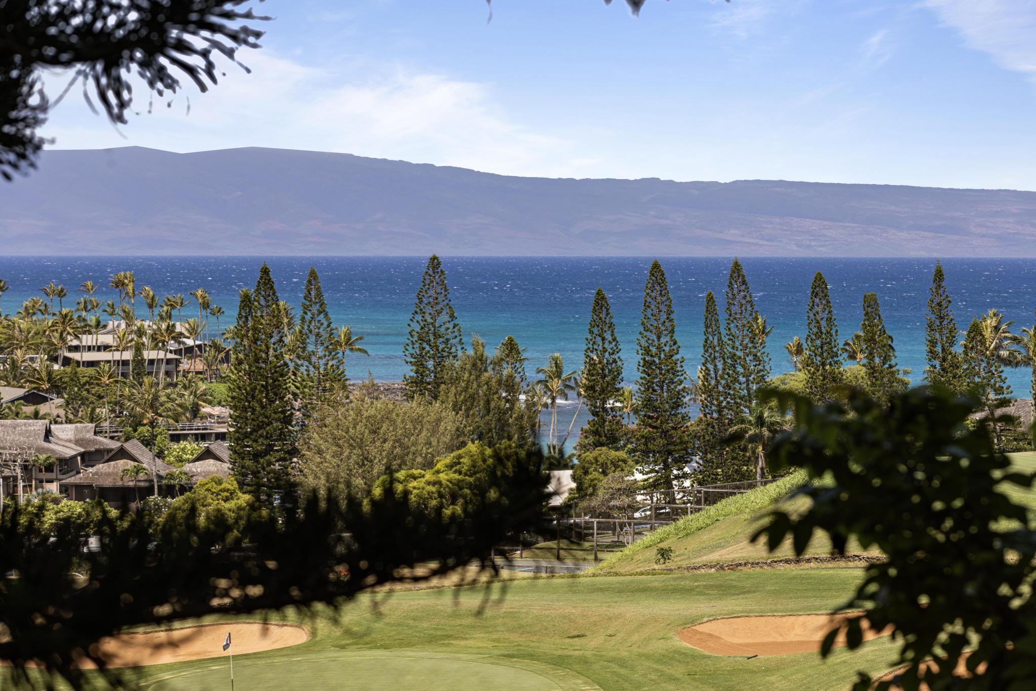 Kapalua Golf Villas condo # 11P3-4, Lahaina, Hawaii - photo 43 of 43