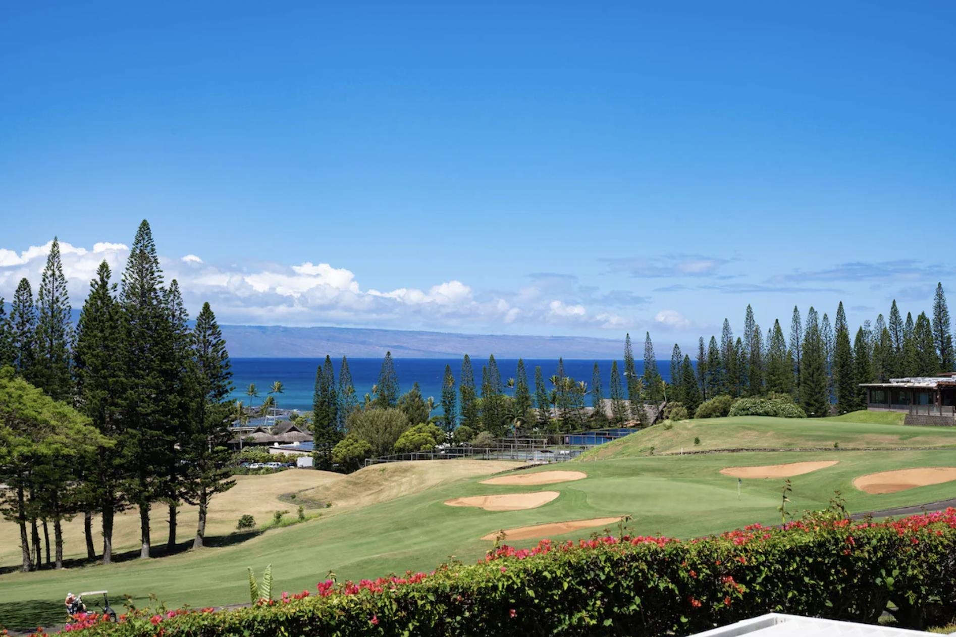 Kapalua Golf Villas condo # 11P3-4, Lahaina, Hawaii - photo 7 of 43