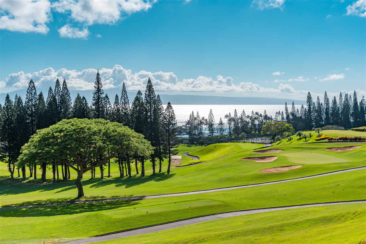 Kapalua Golf Villas condo # 11T1-2, Lahaina, Hawaii - photo 2 of 21