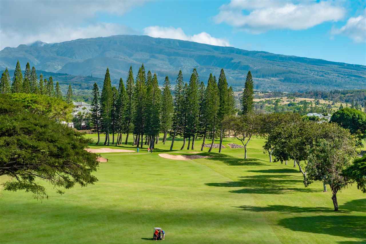 Kapalua Golf Villas condo # 11T1-2, Lahaina, Hawaii - photo 19 of 21