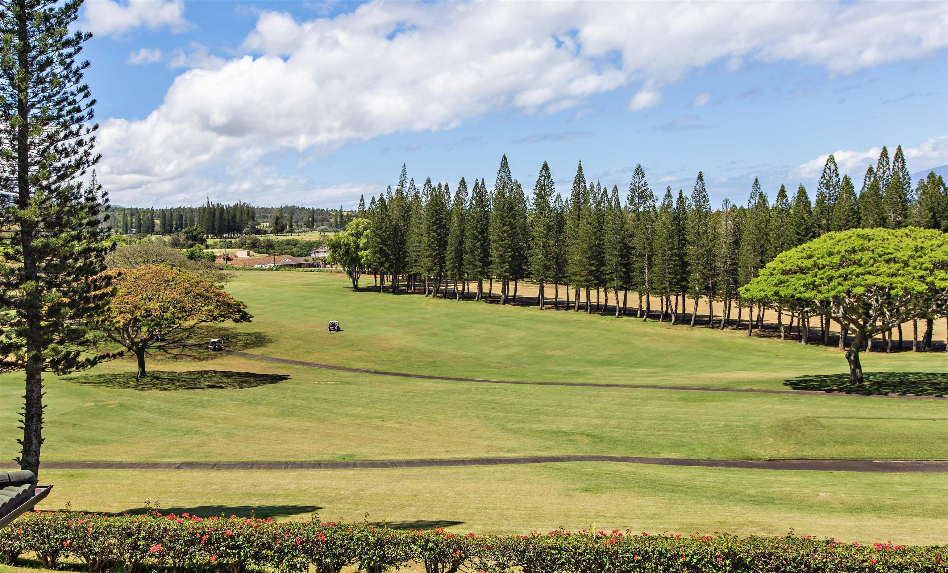 Kapalua Golf Villas condo # 11T3-4, Lahaina, Hawaii - photo 29 of 30