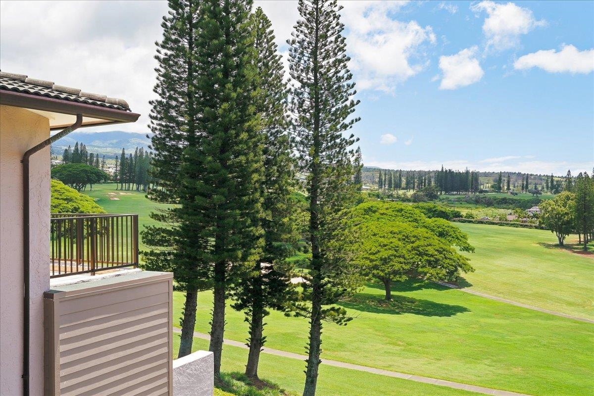 Kapalua Golf Villas condo # 11V3, Lahaina, Hawaii - photo 29 of 33
