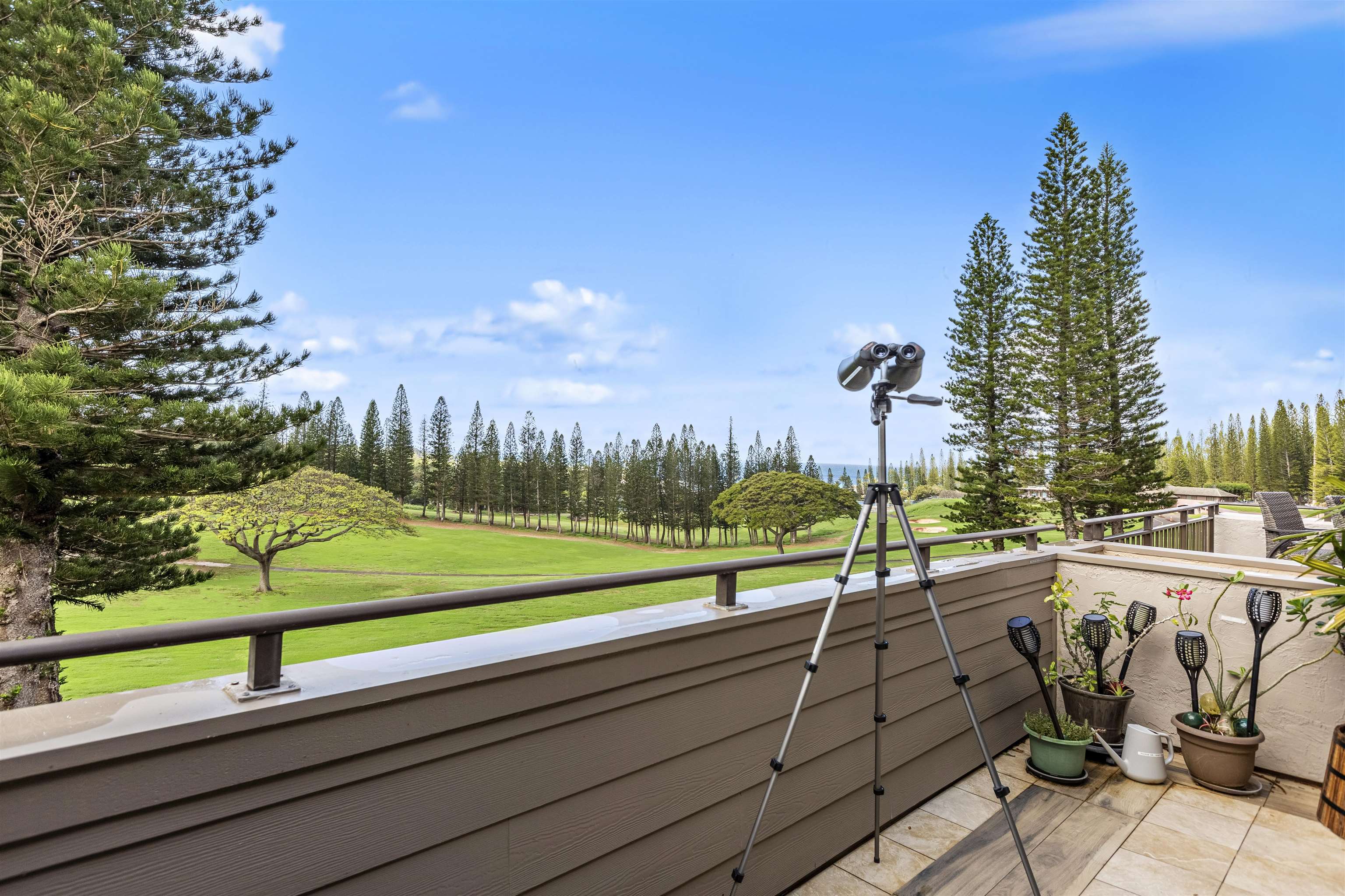 Kapalua Golf Villas condo # 12T-1, Lahaina, Hawaii - photo 6 of 41