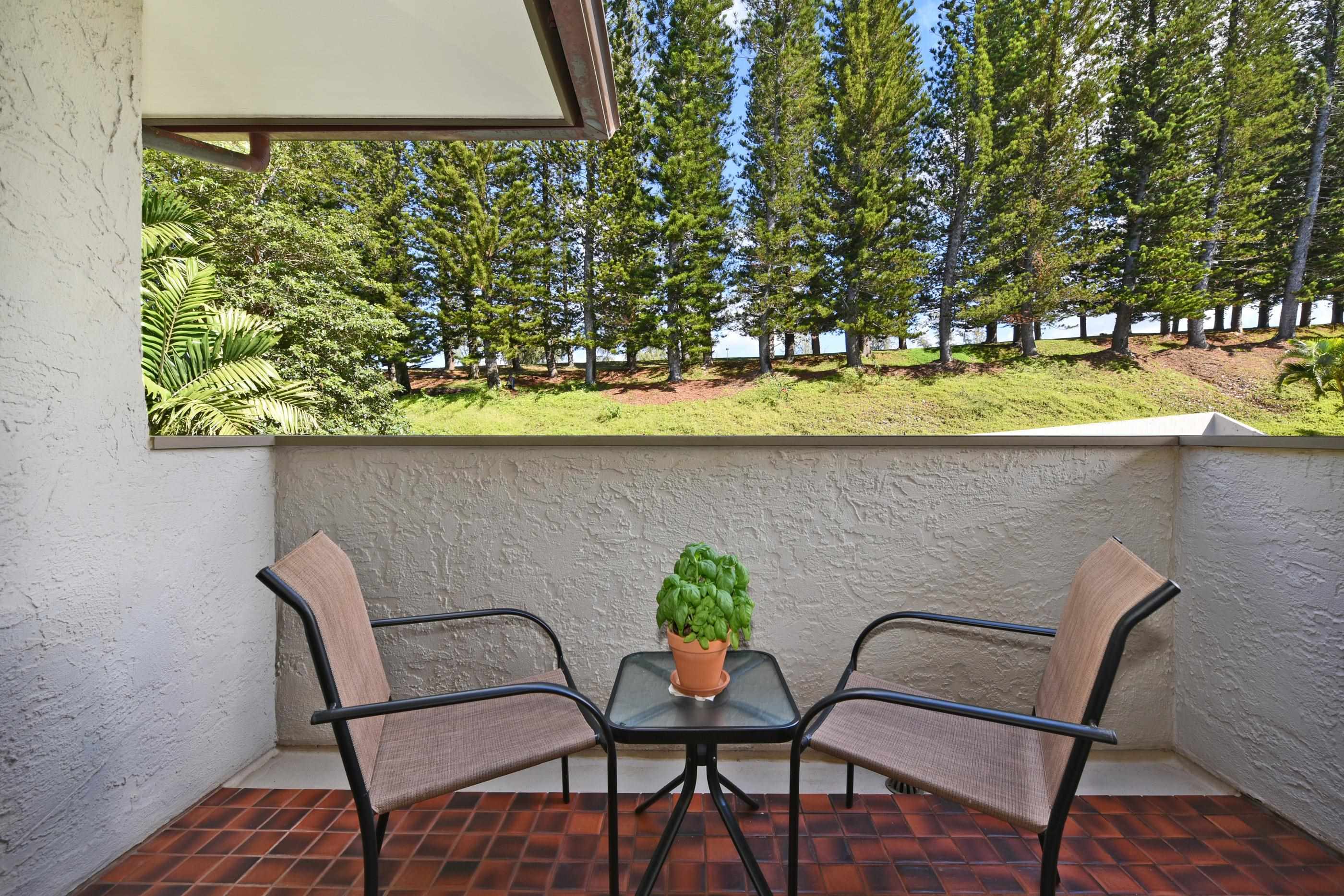 Kapalua Golf Villas condo # 12V1, Lahaina, Hawaii - photo 28 of 30