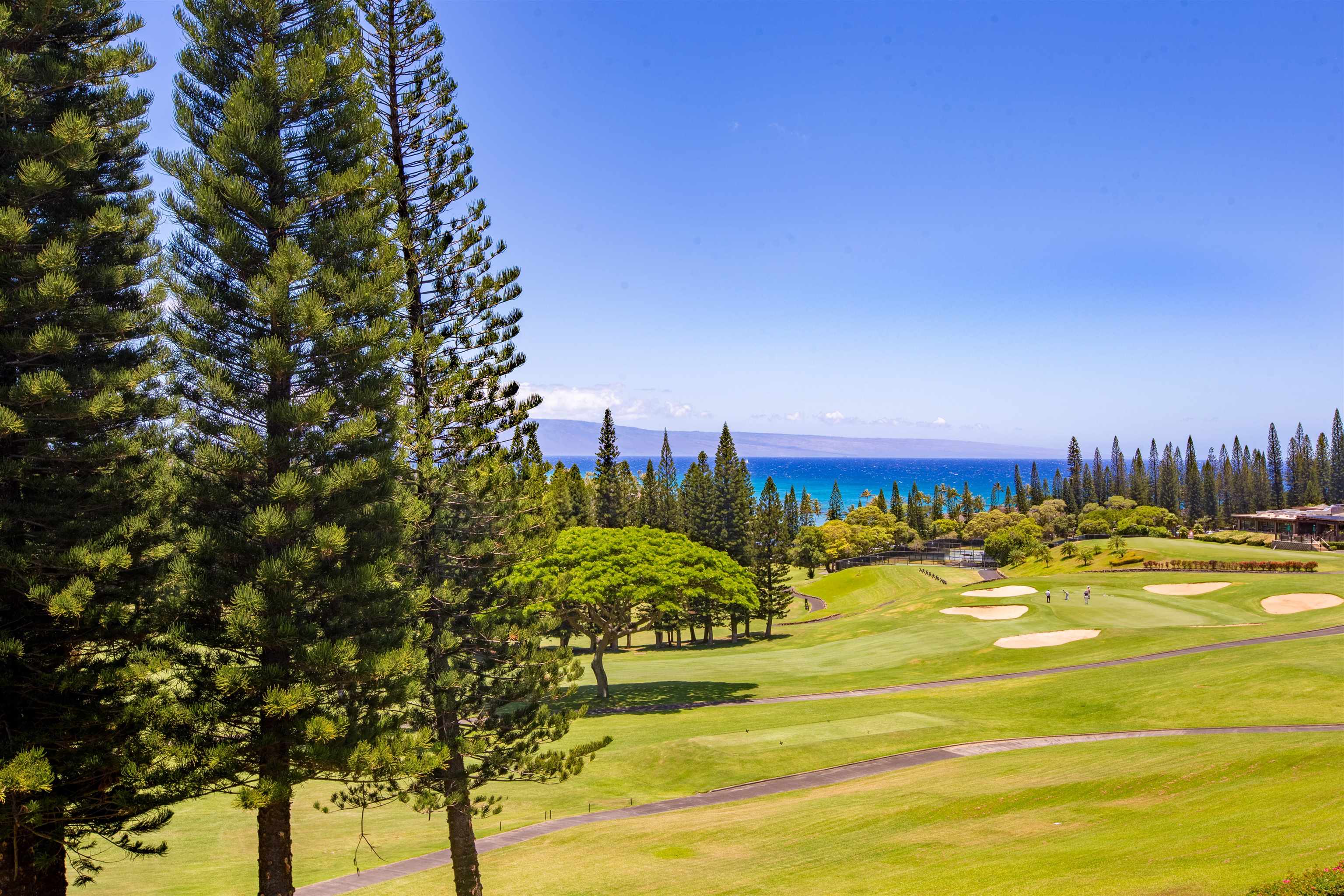 Kapalua Golf Villas condo # 12V-3, Lahaina, Hawaii - photo 25 of 27