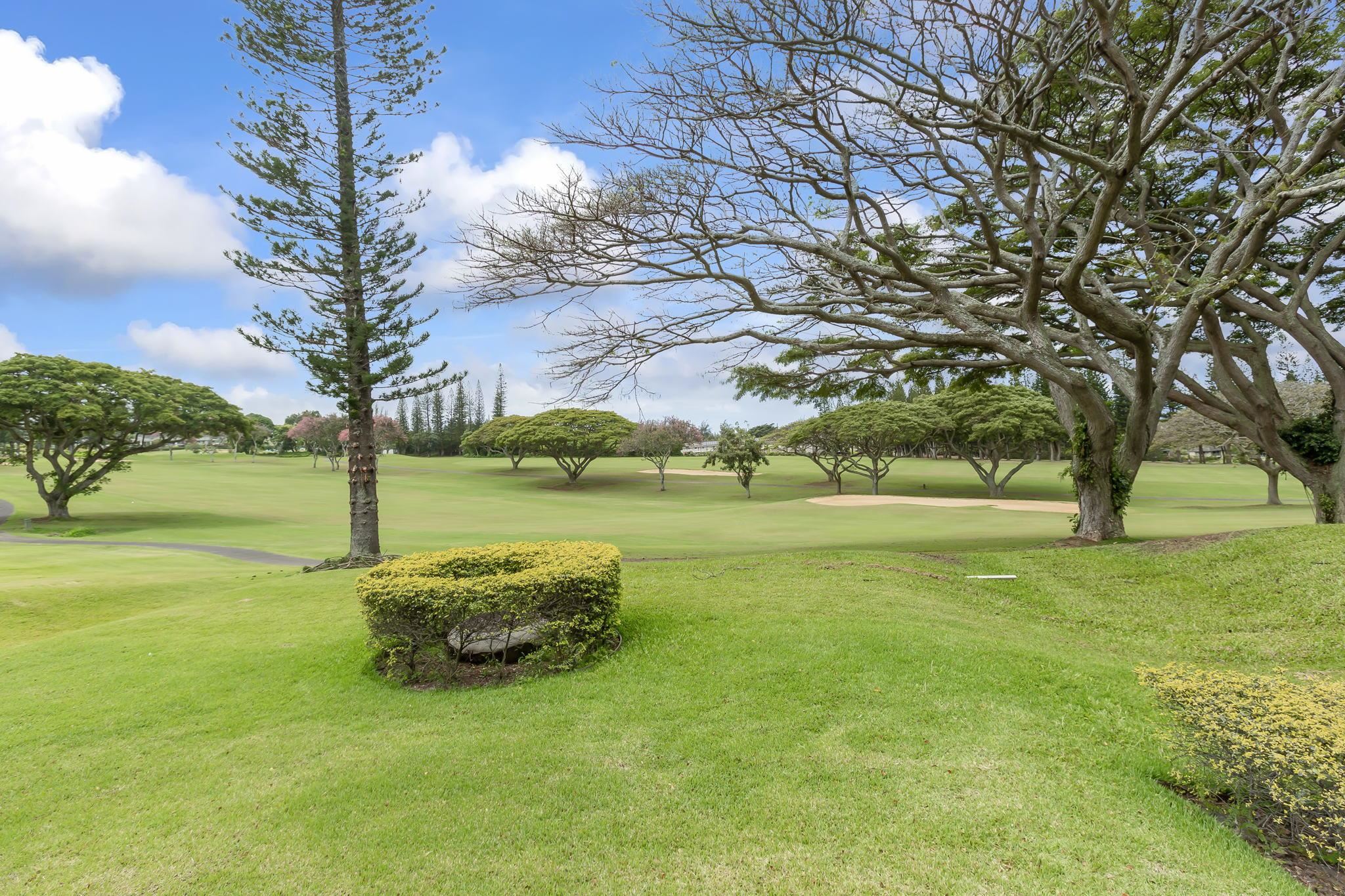 Kapalua Golf Villas condo # 14P3-4, Lahaina, Hawaii - photo 23 of 30