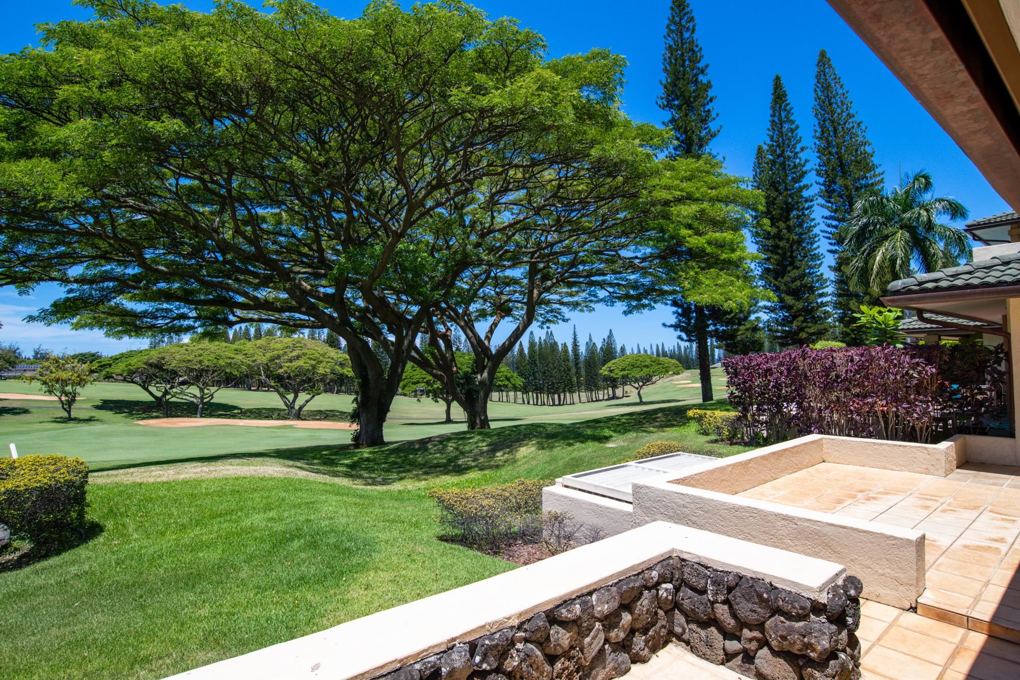 Kapalua Golf Villas condo # 14P3-4, Lahaina, Hawaii - photo 17 of 28