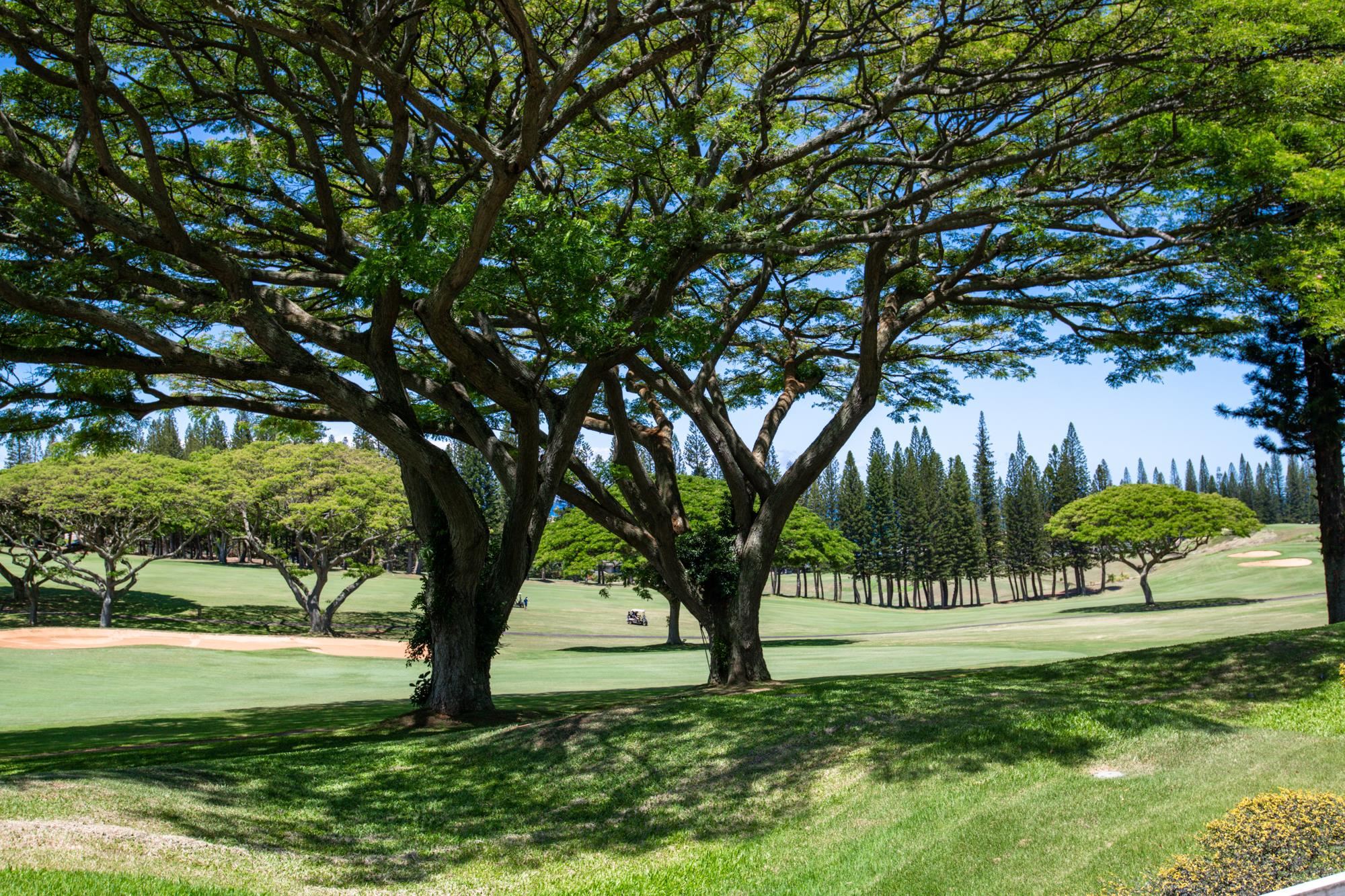Kapalua Golf Villas condo # 14 P 3-4, Lahaina, Hawaii - photo 21 of 28